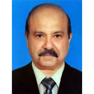 عادل مصطفى