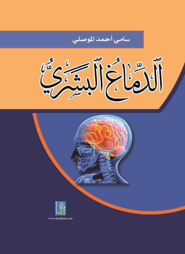 الدماغ البشري