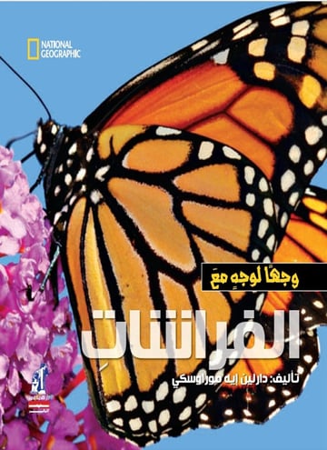 الفراشات
