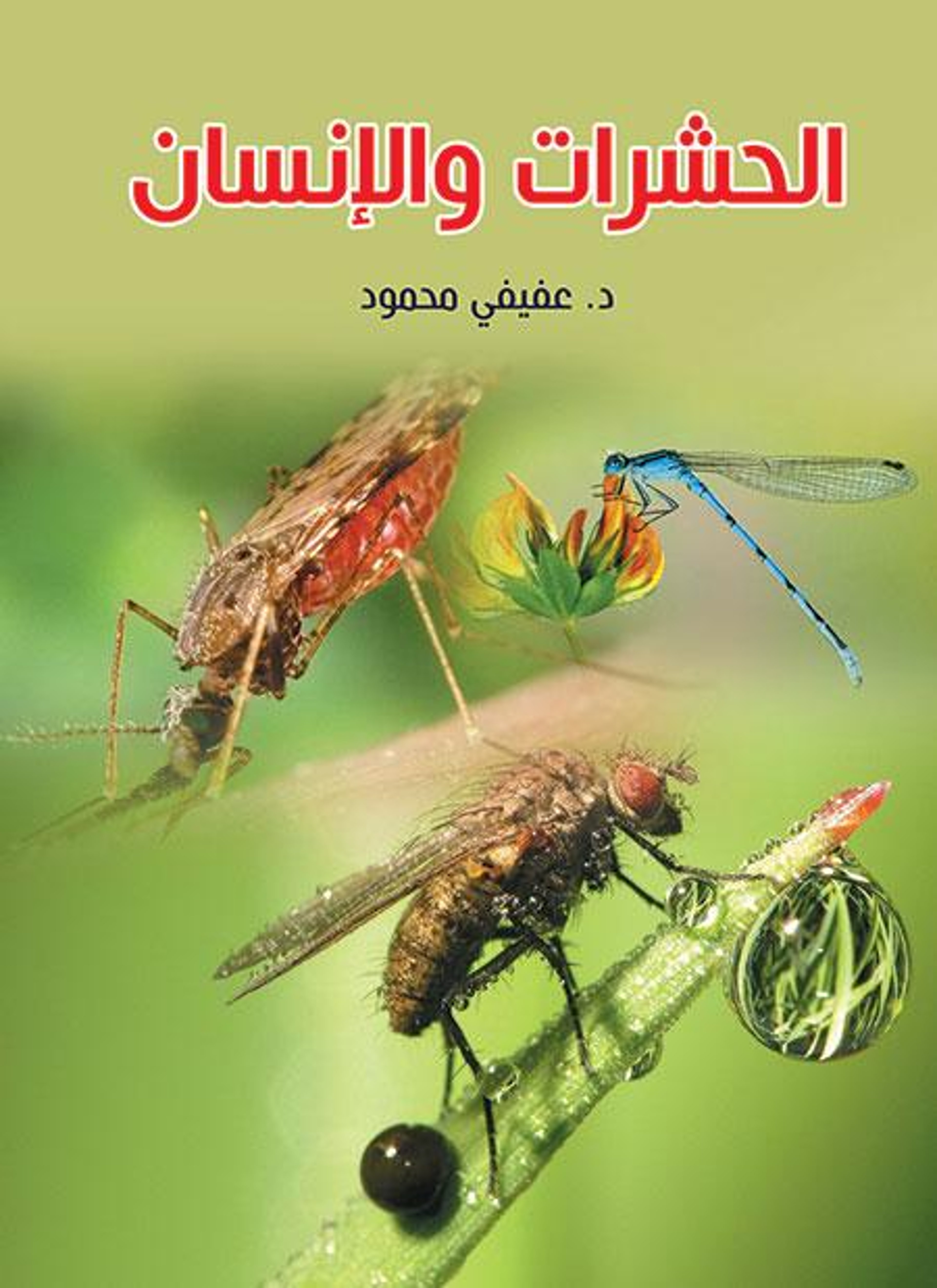 الحشرات والإنسان