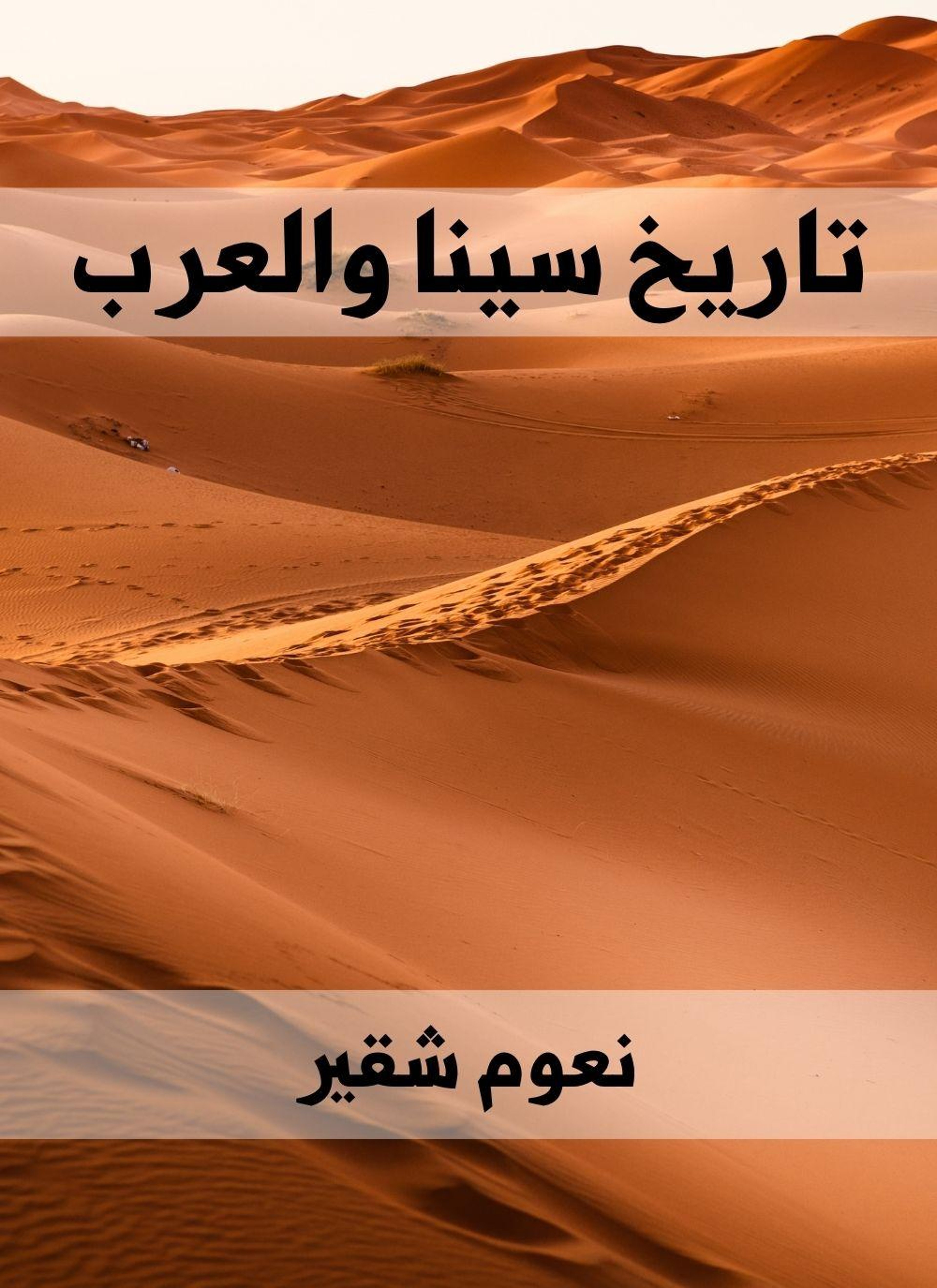 تاريخ سينا والعرب