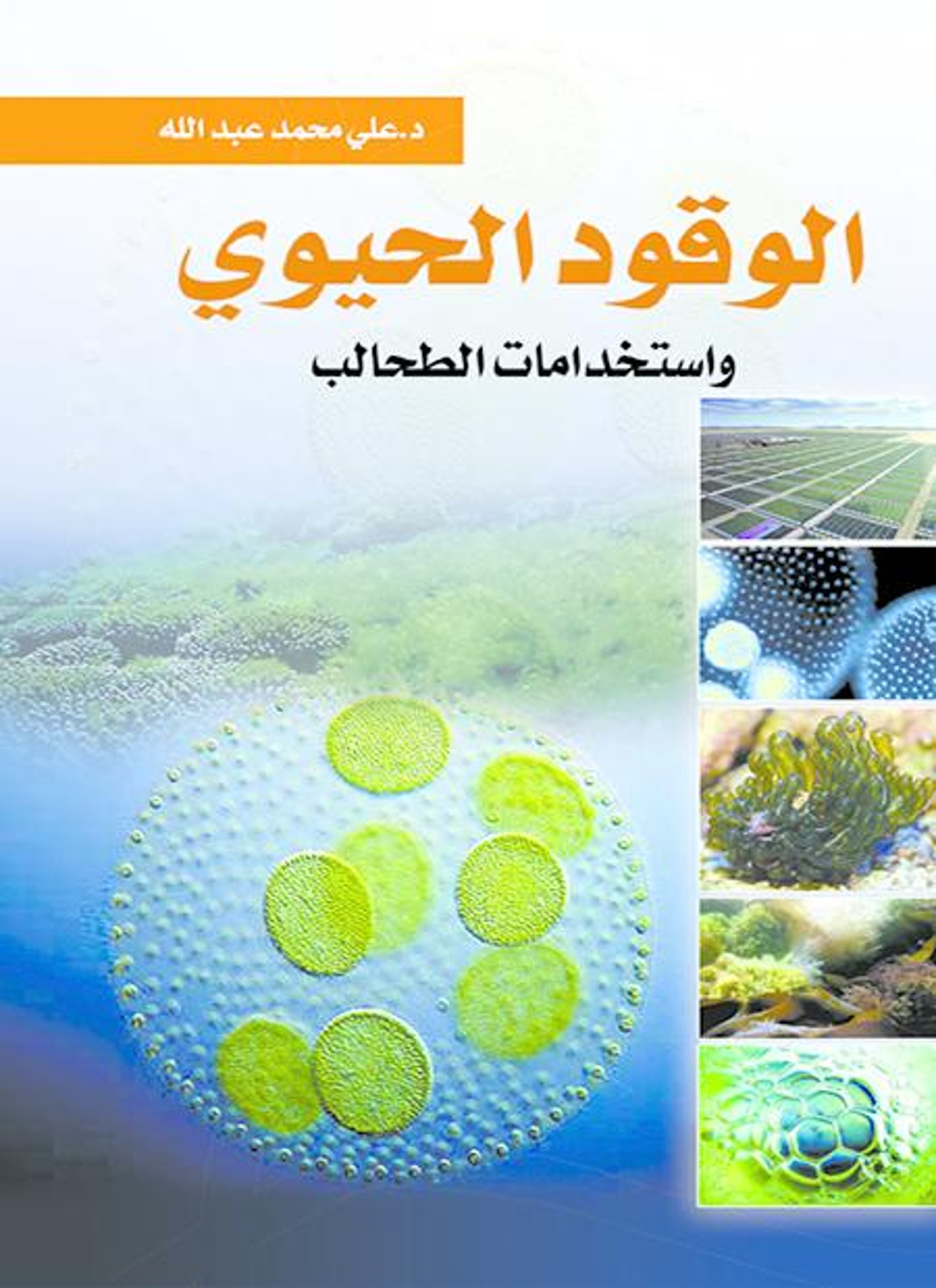 الوقود الحيوى واستخدامات الطحالب