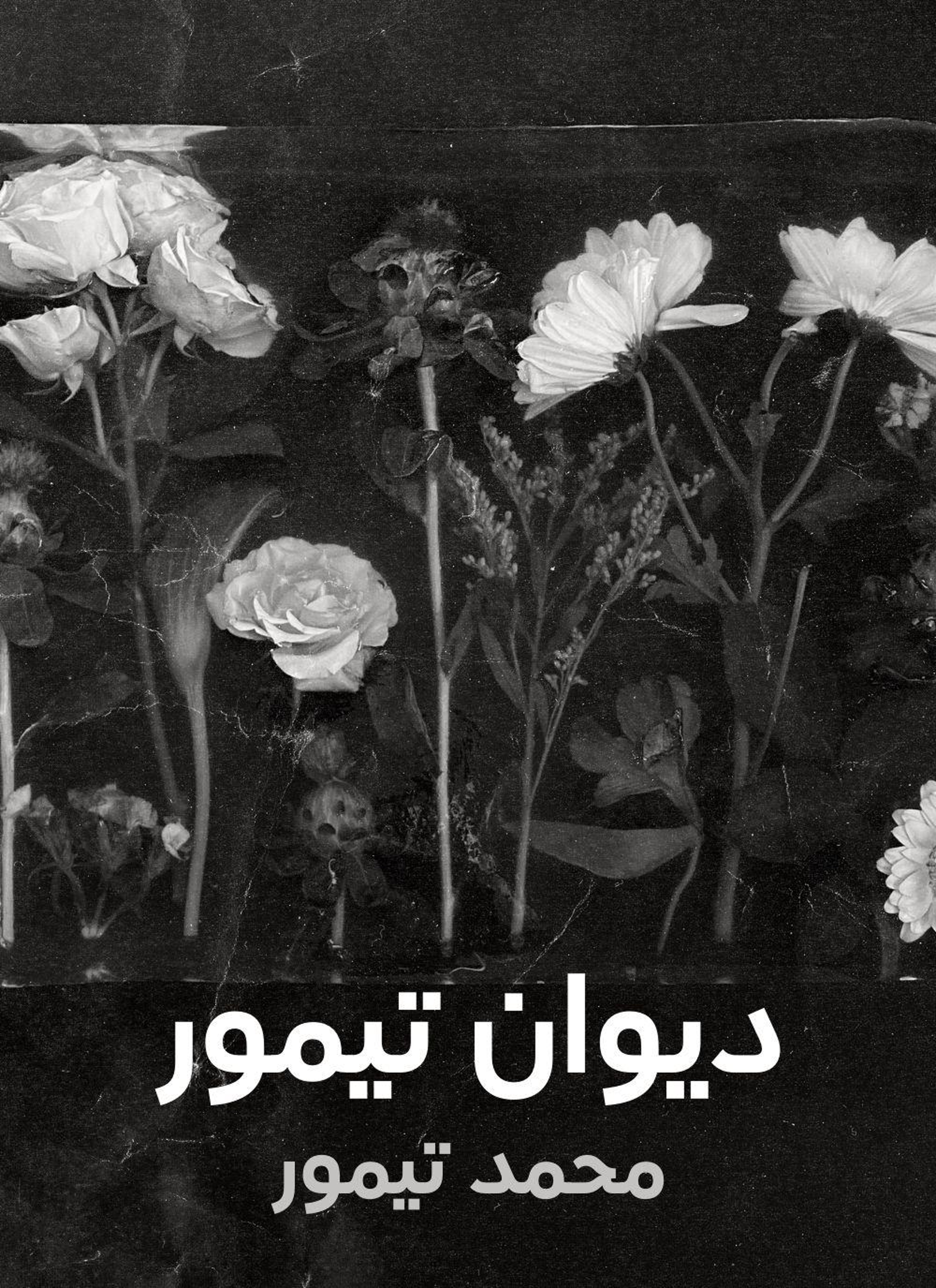 ديوان تيمور