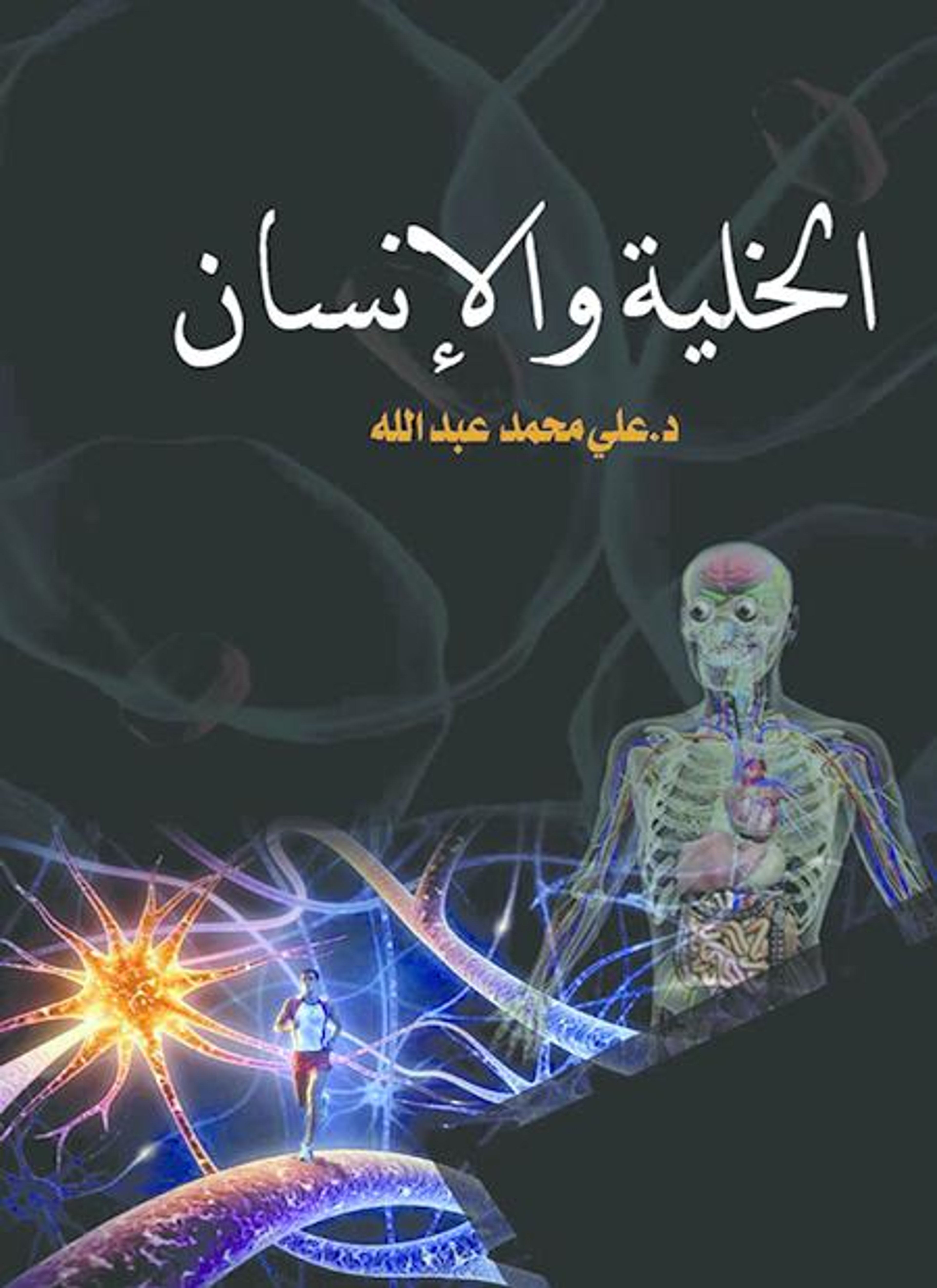 السيد