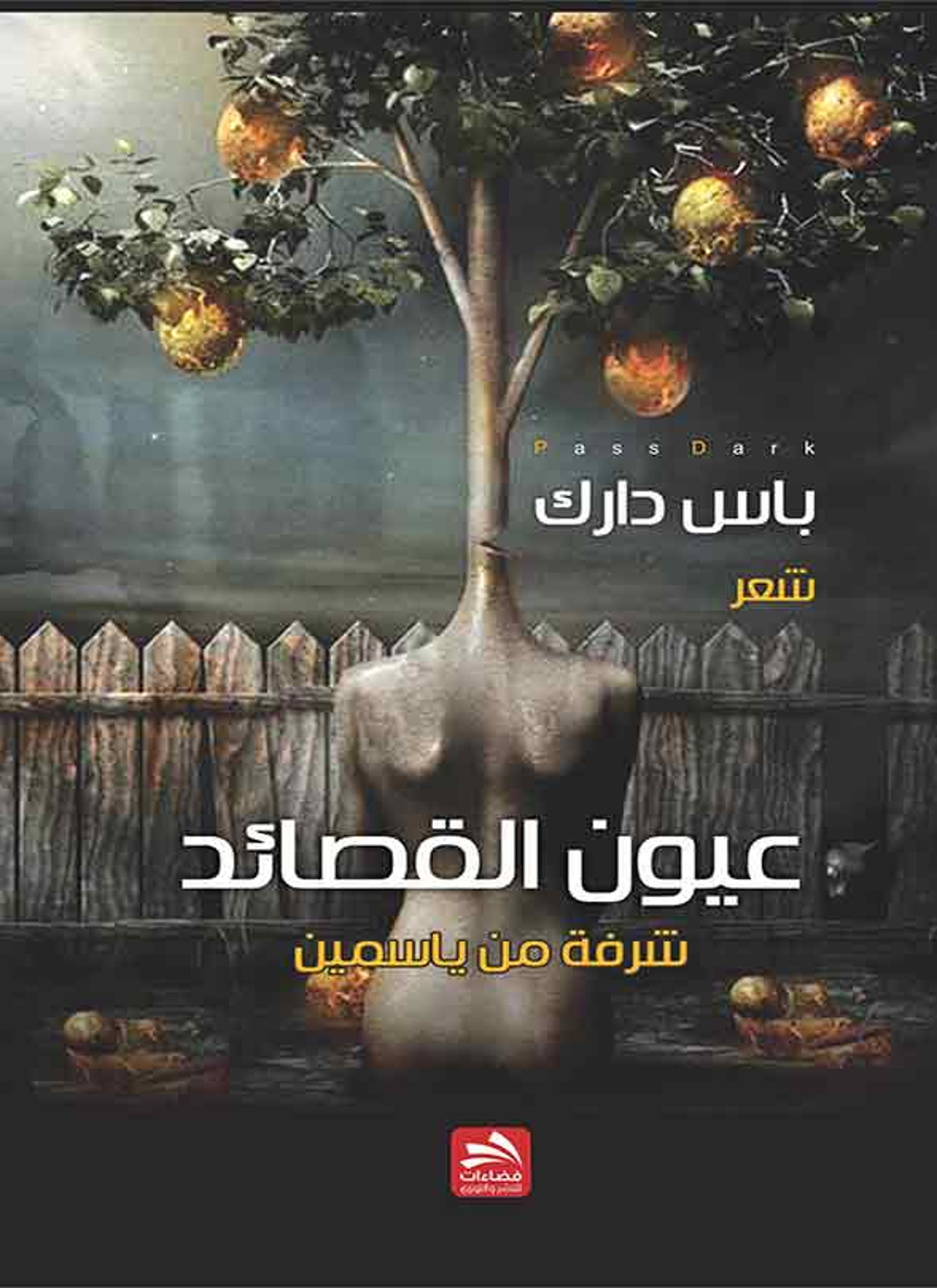 عيون القصائد