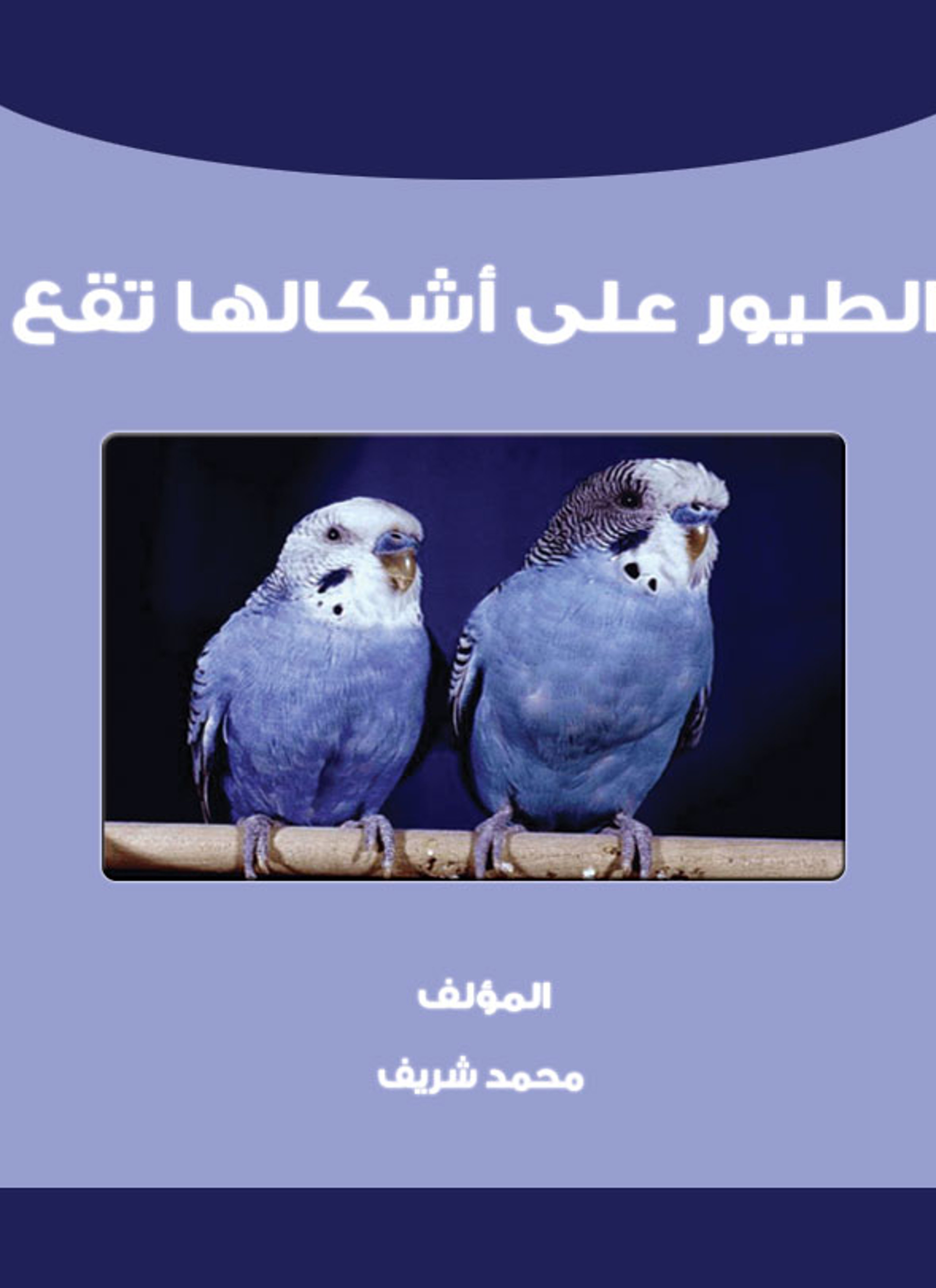 الطيور على أشكالها تقع