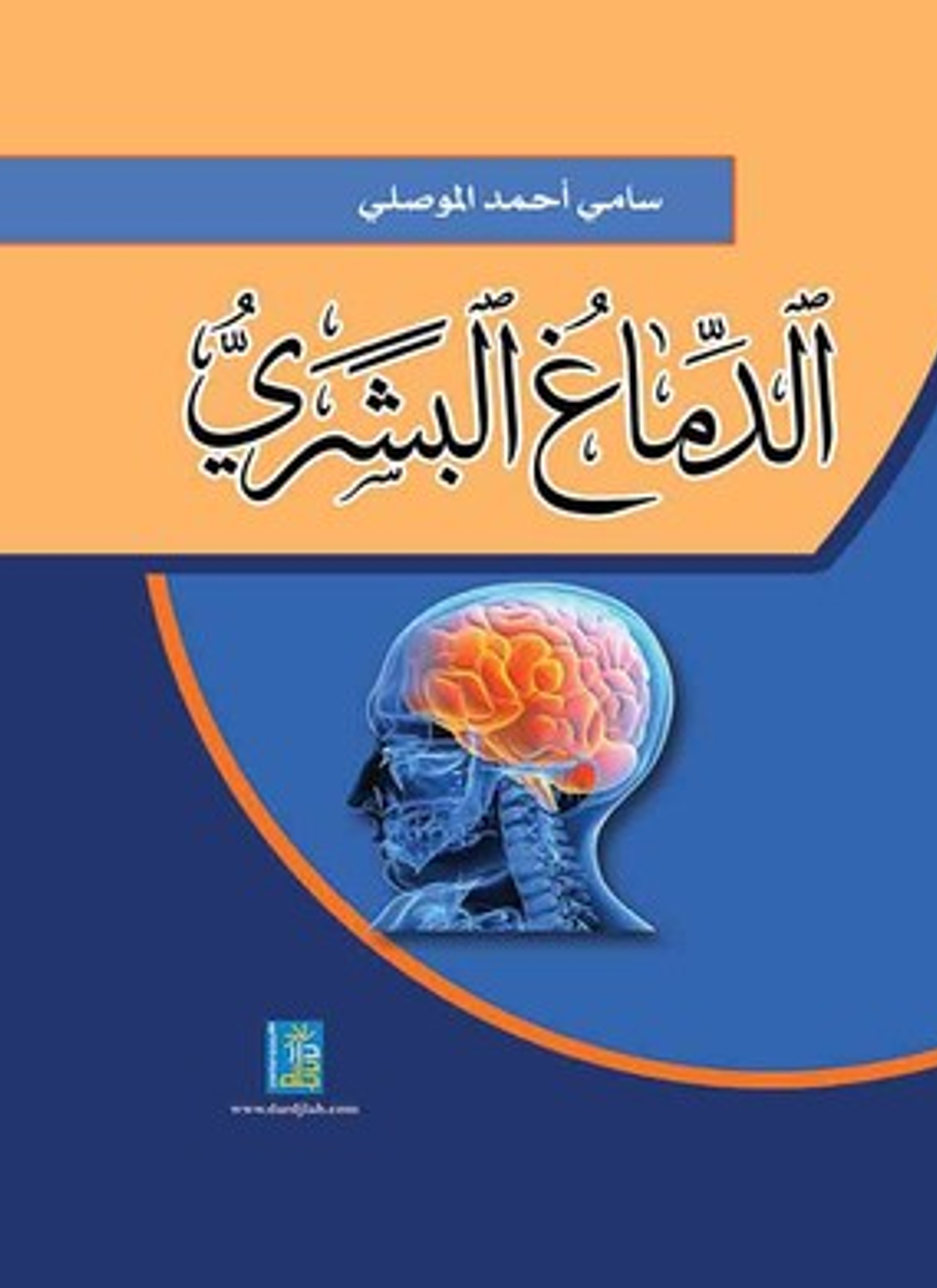 الدماغ البشري