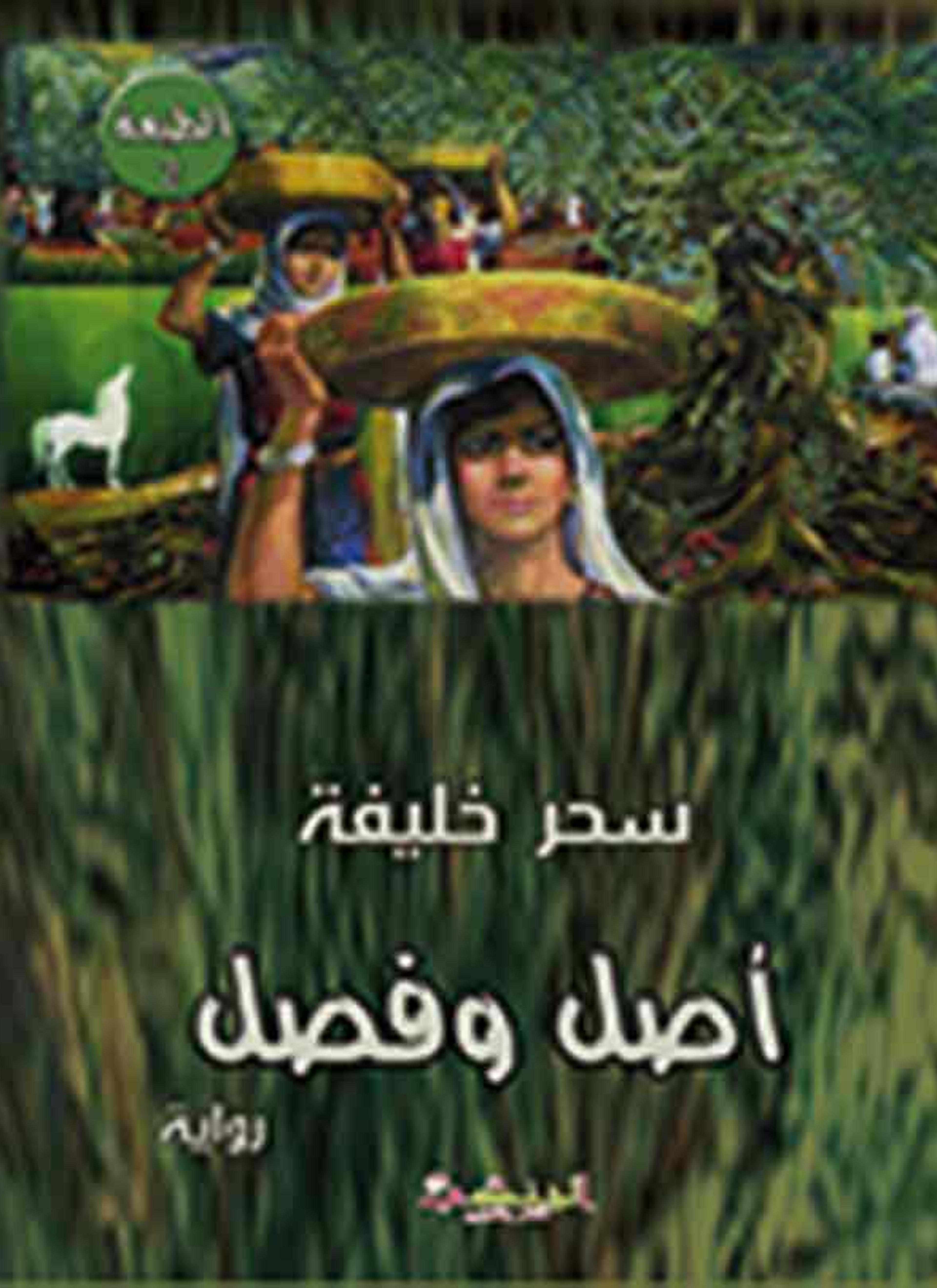 أصل و فصل