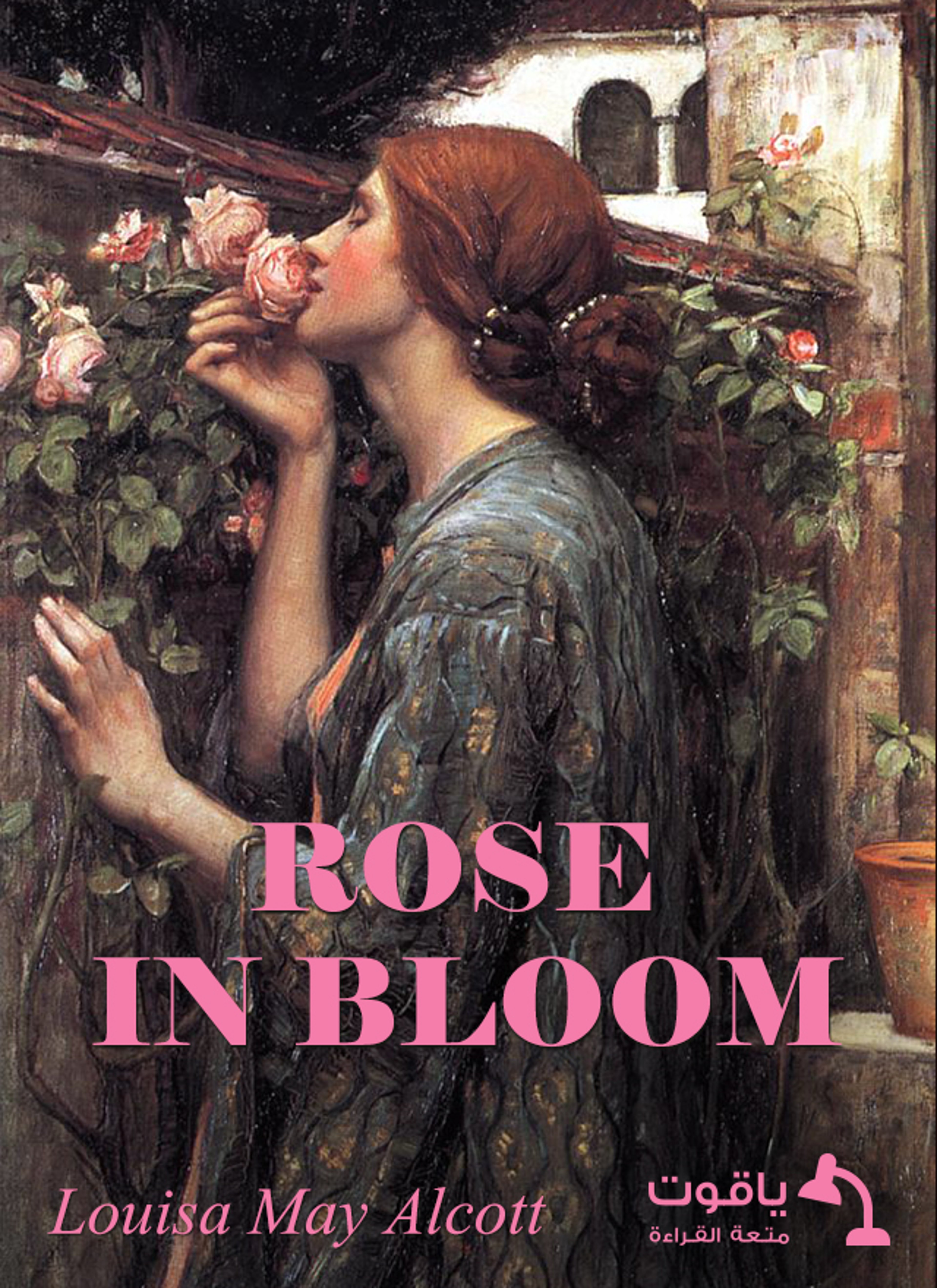 Rose in Bloom