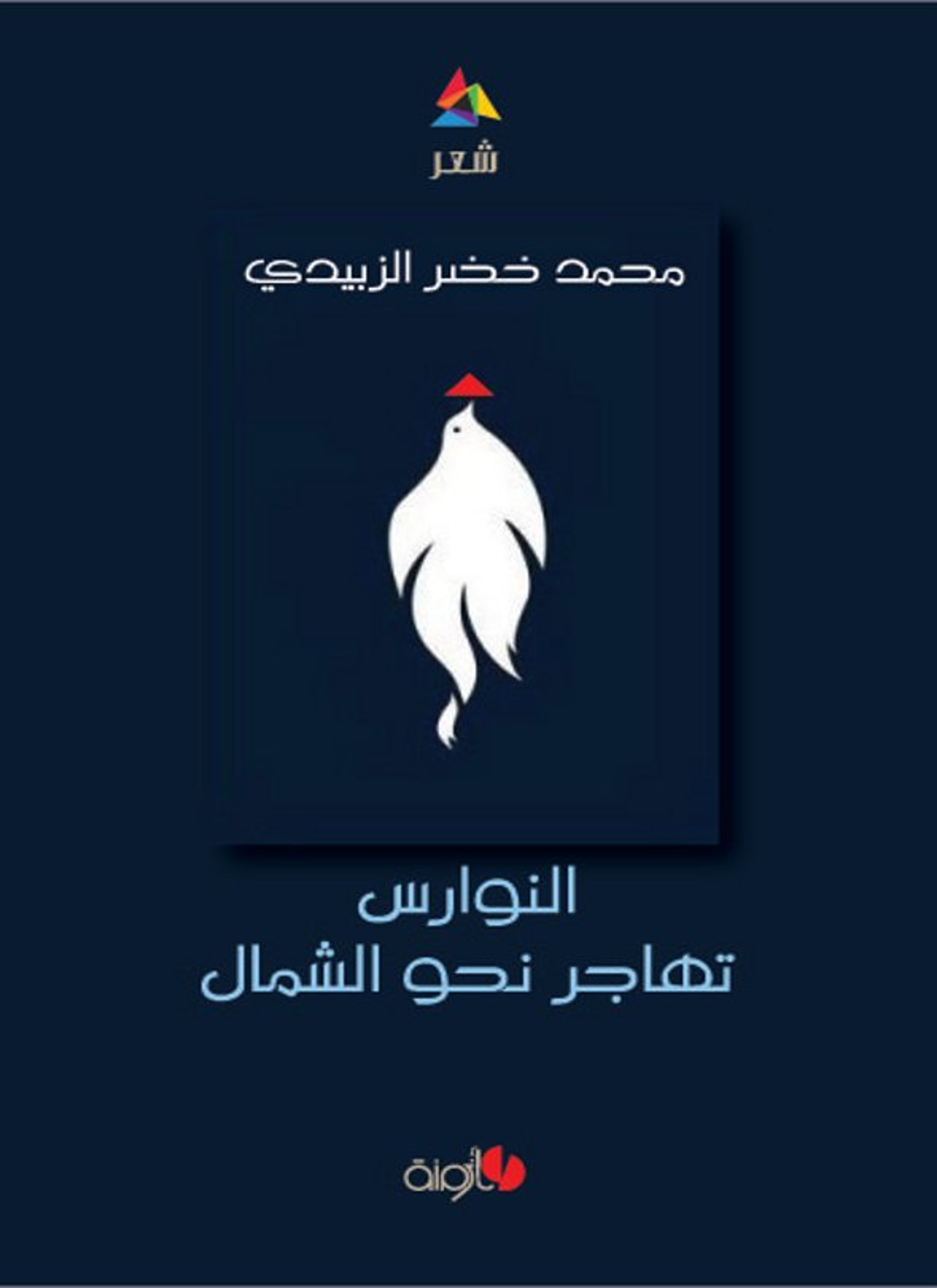 النوارس تهاجر إلى الشمال