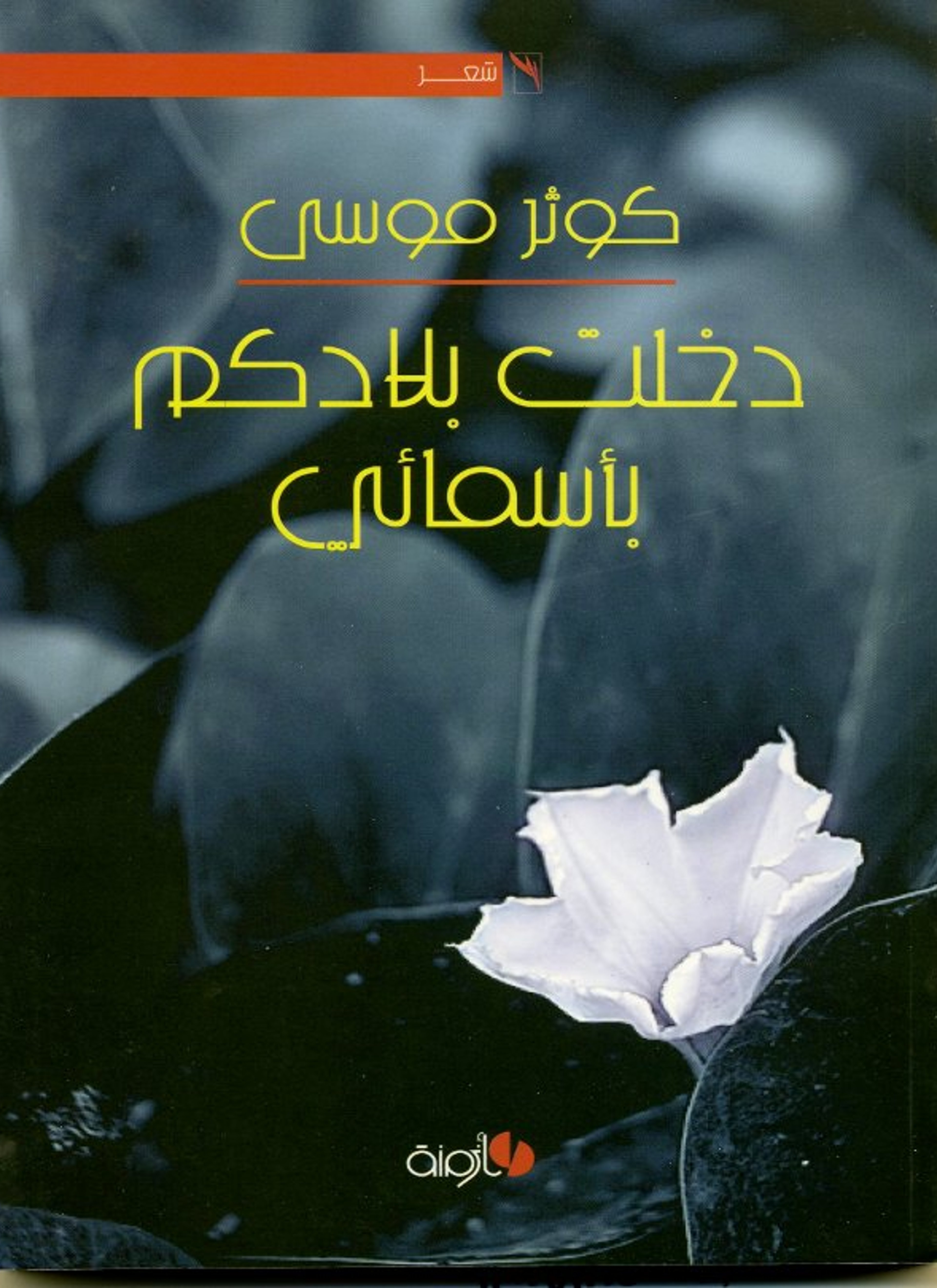 دخلت بلادكم بأسمائي