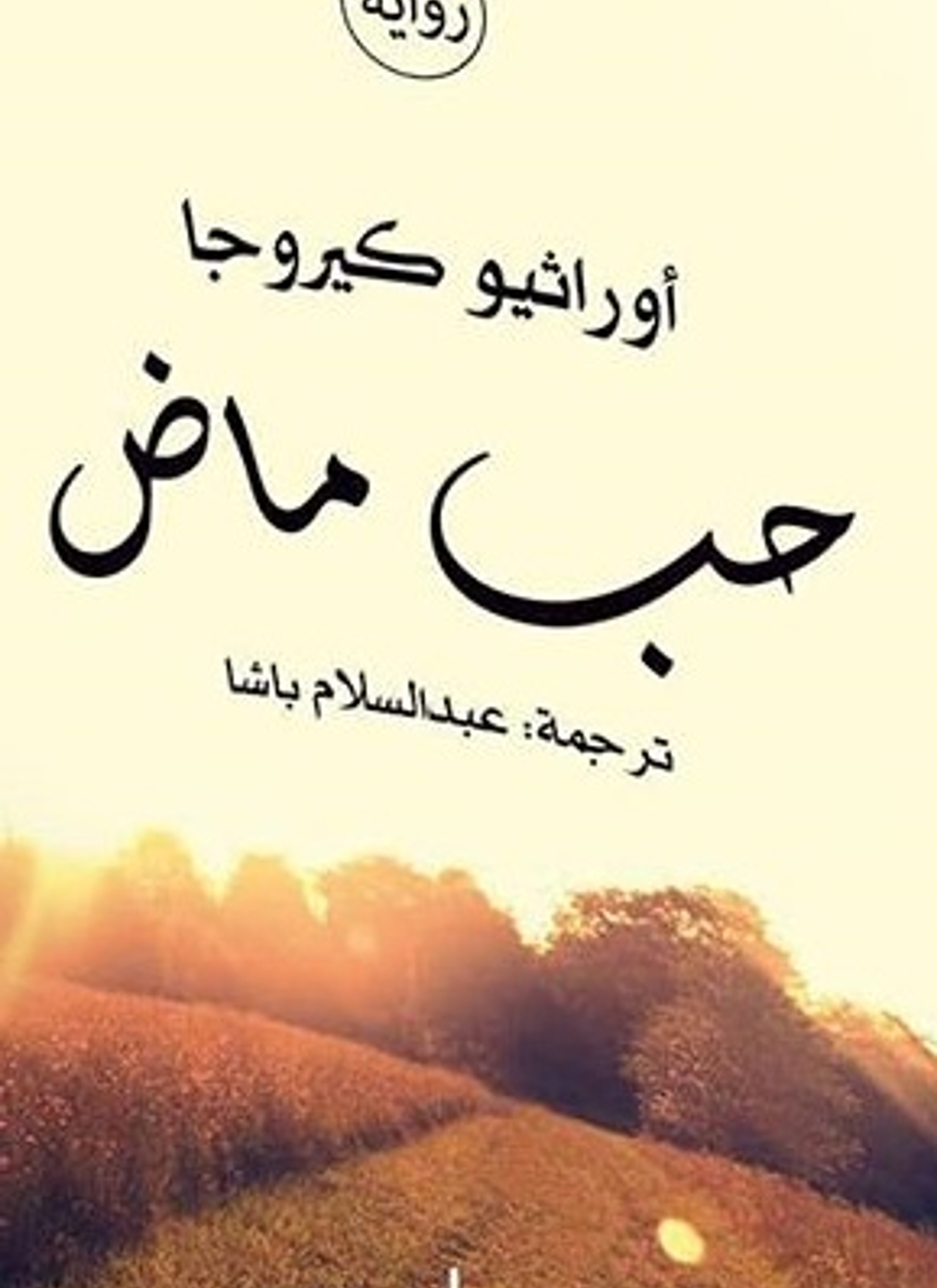 حب ماض