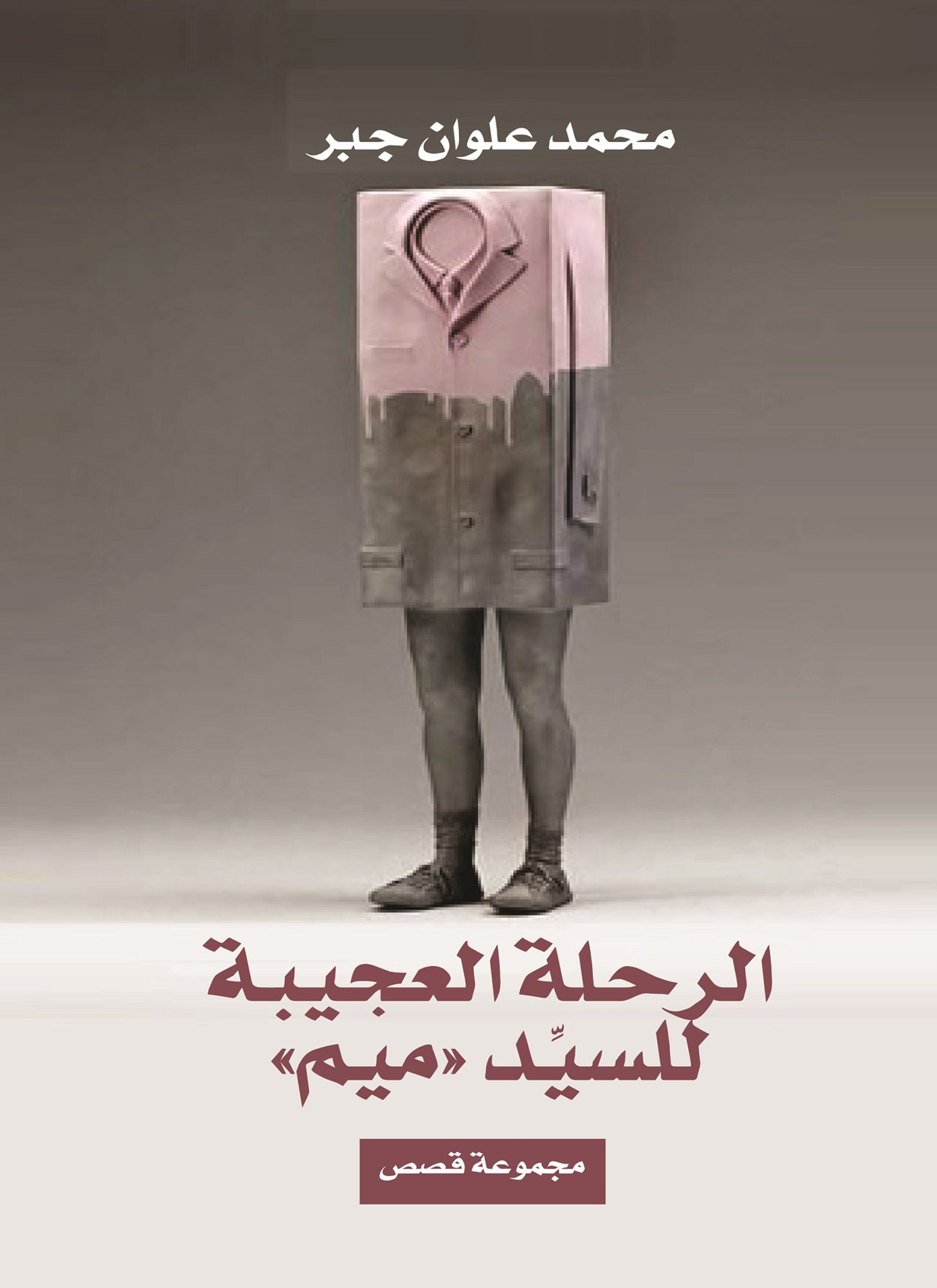 الرحلة العجيبة للسيد ميم