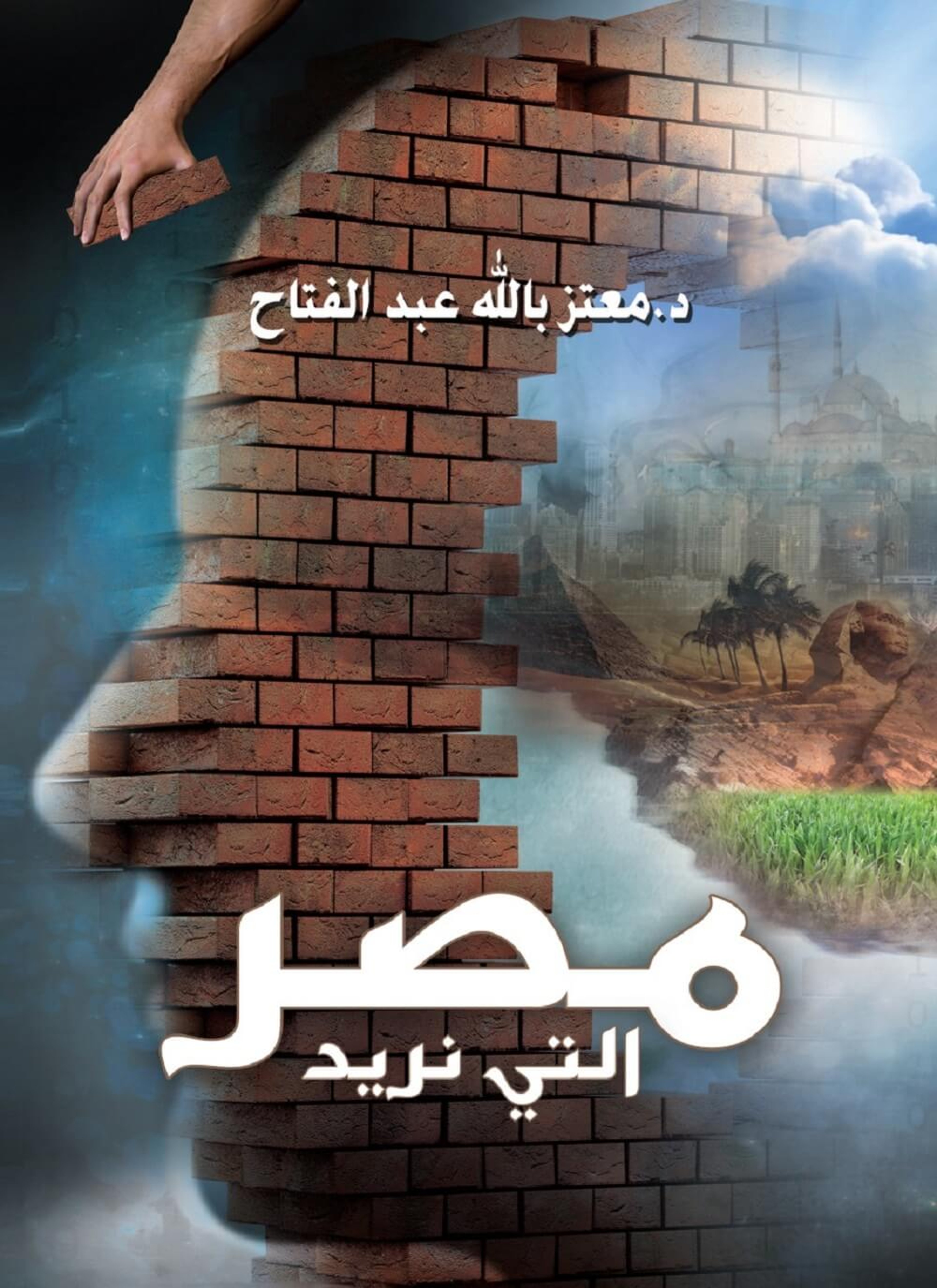 مصر التى نريد