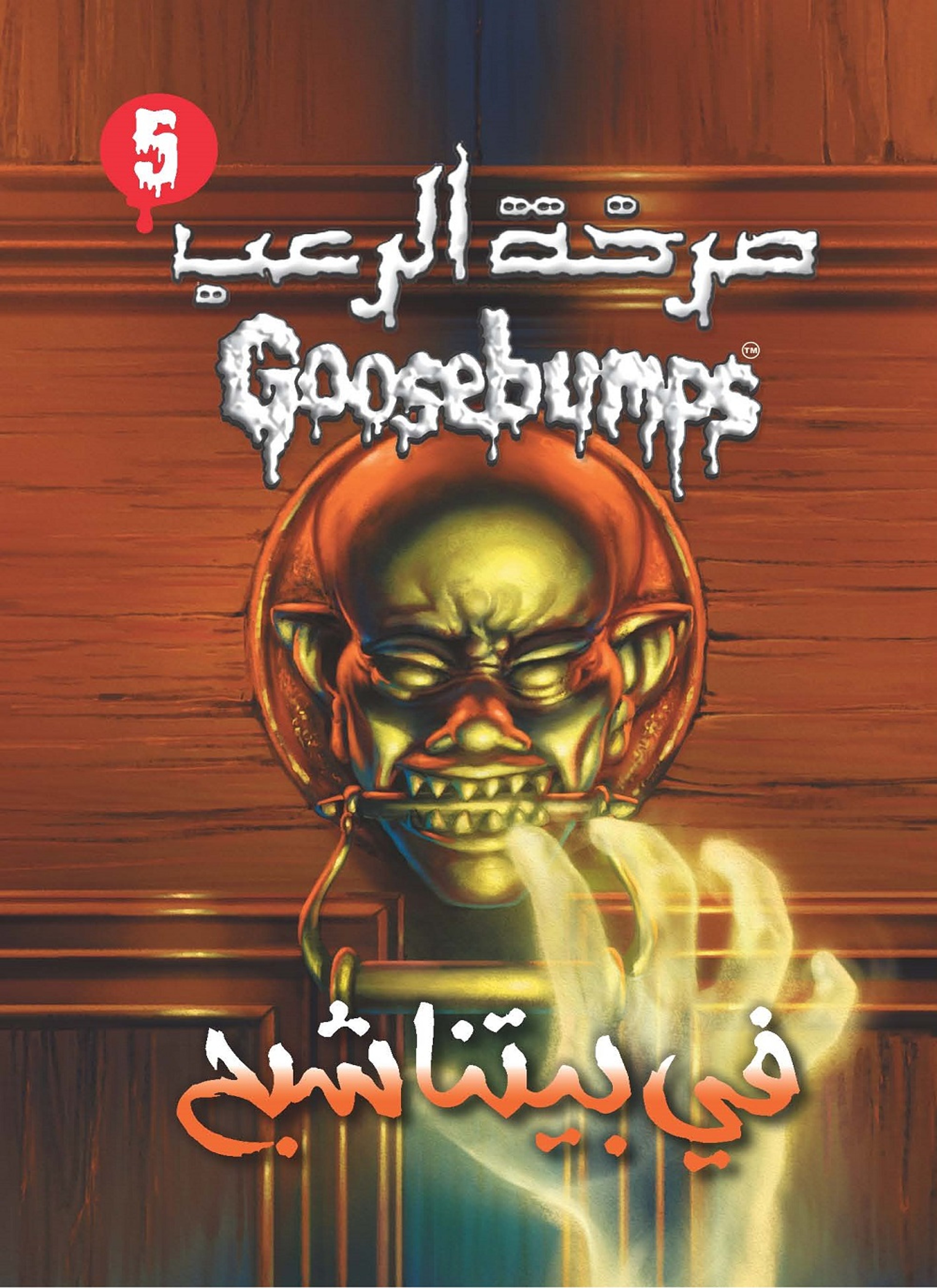 في بيتنا شبح