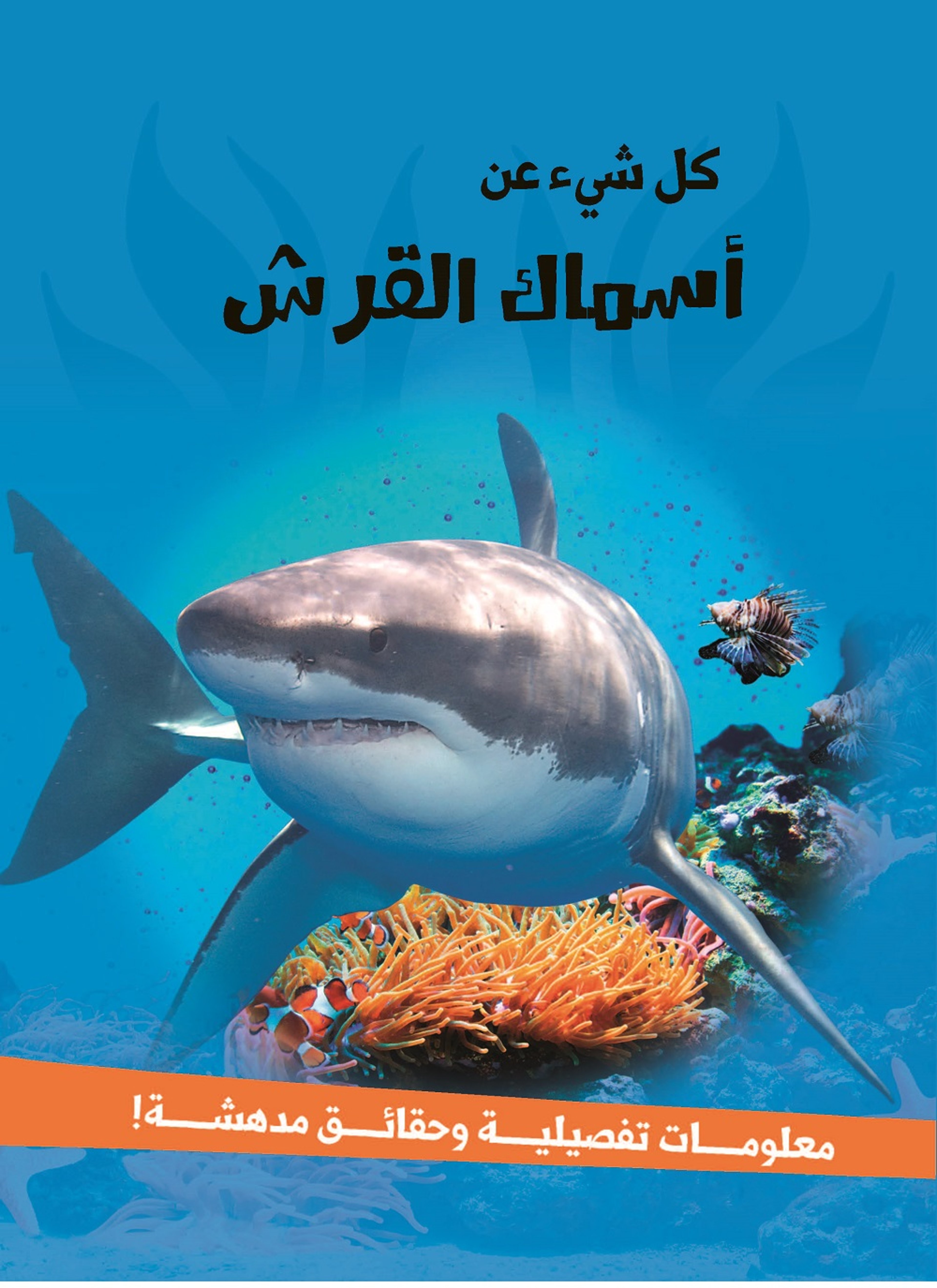 اسماك القرش