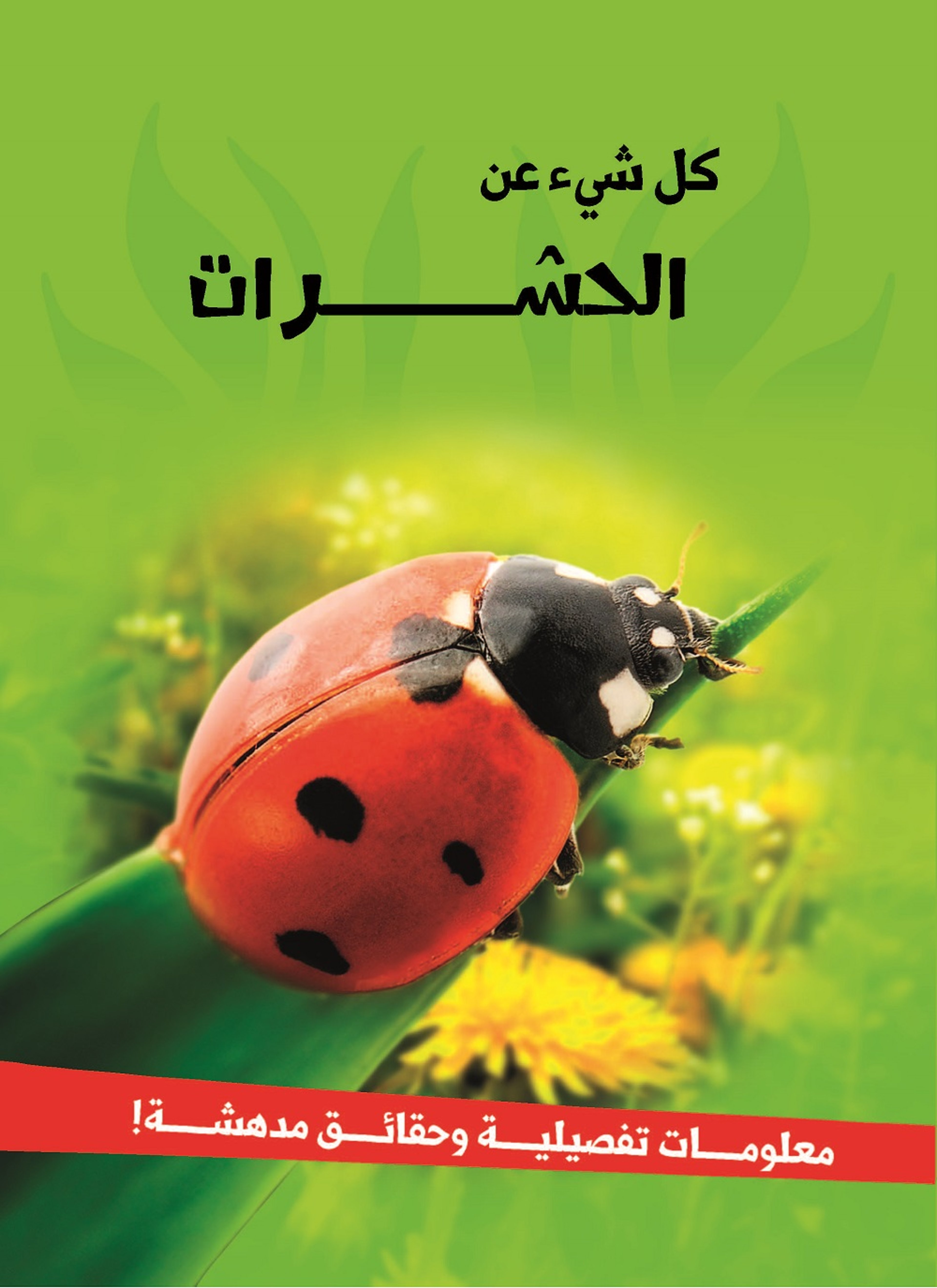 الحشرات