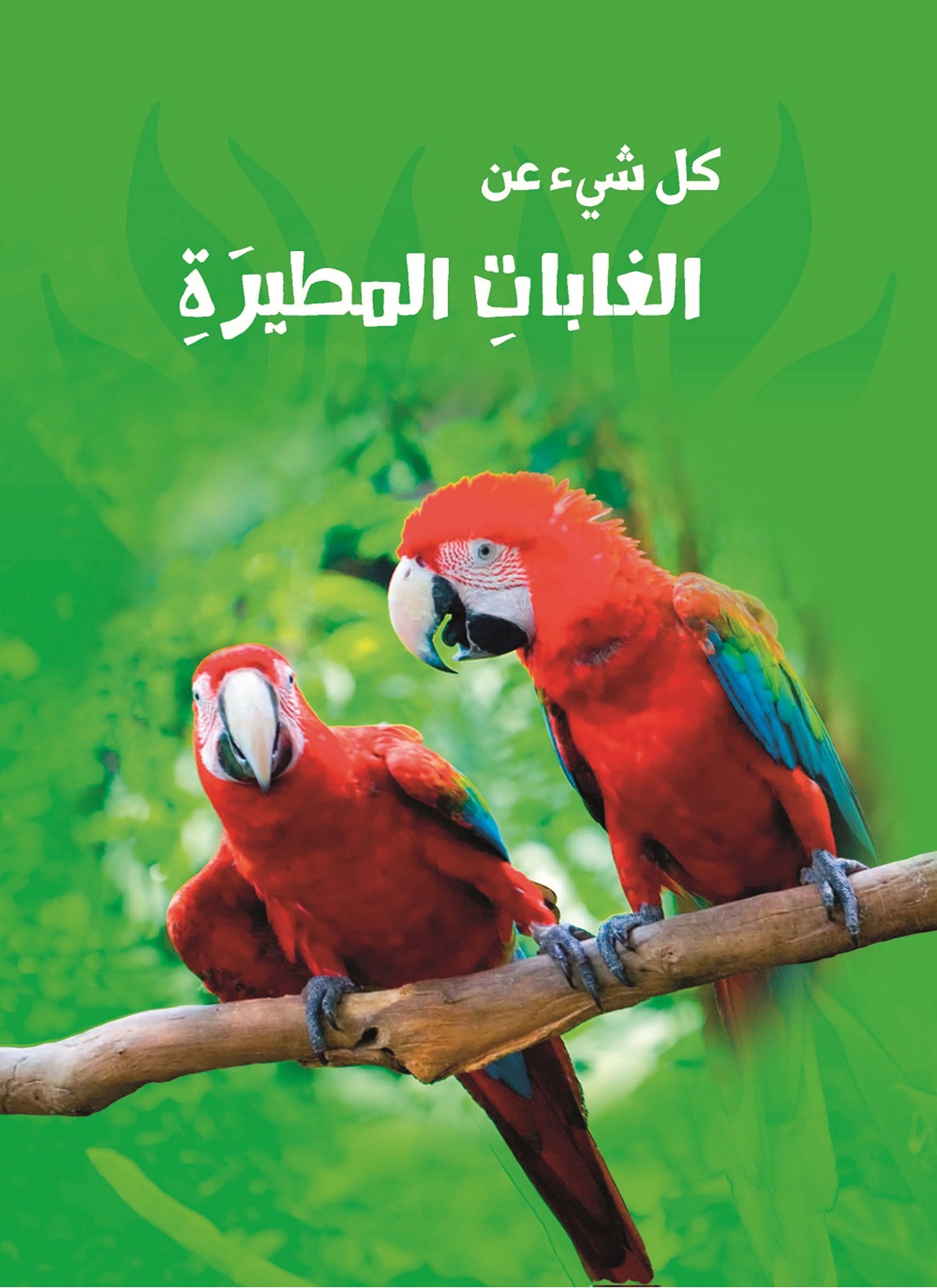 الغابات المطيرة