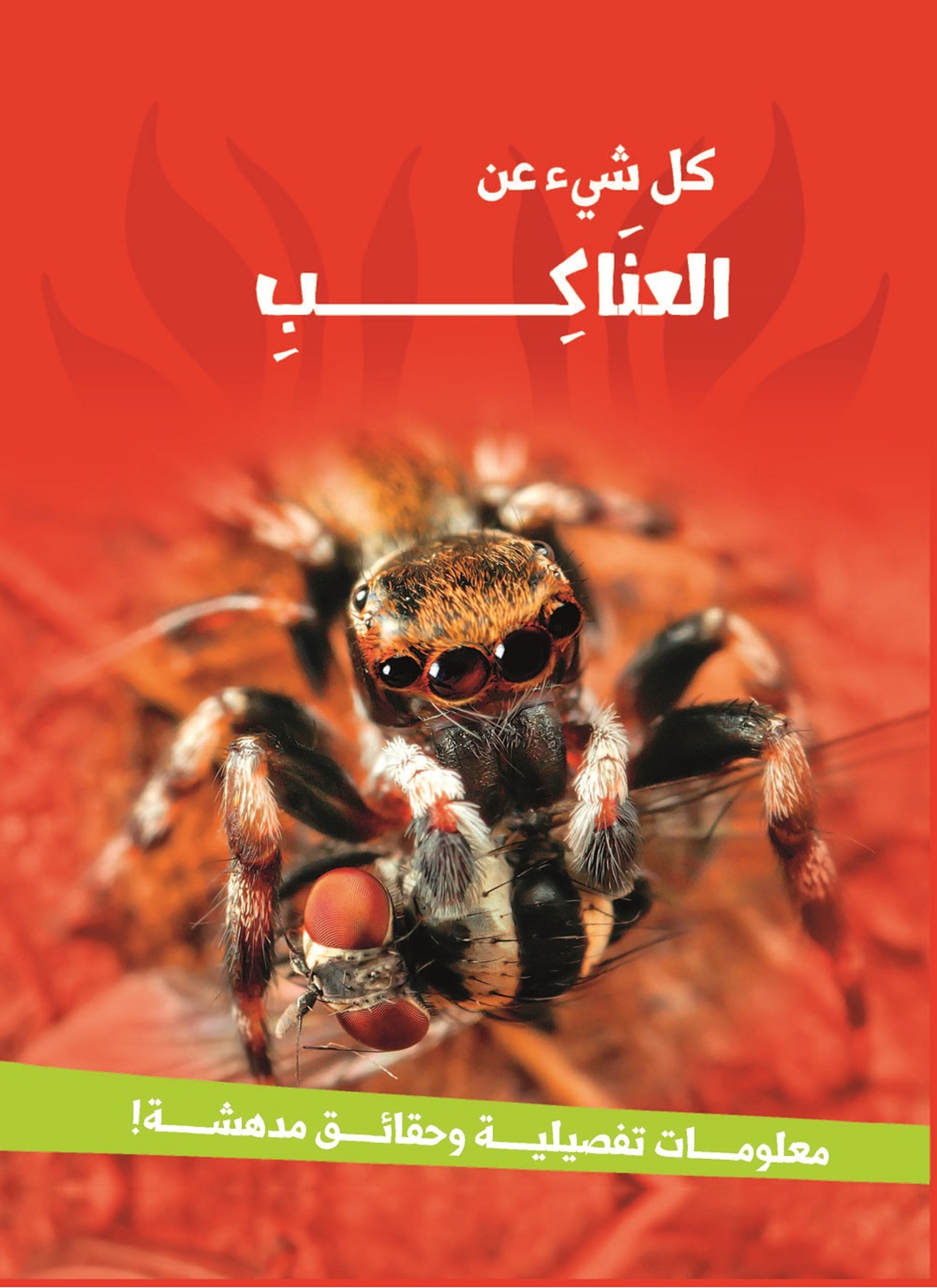 العناكب