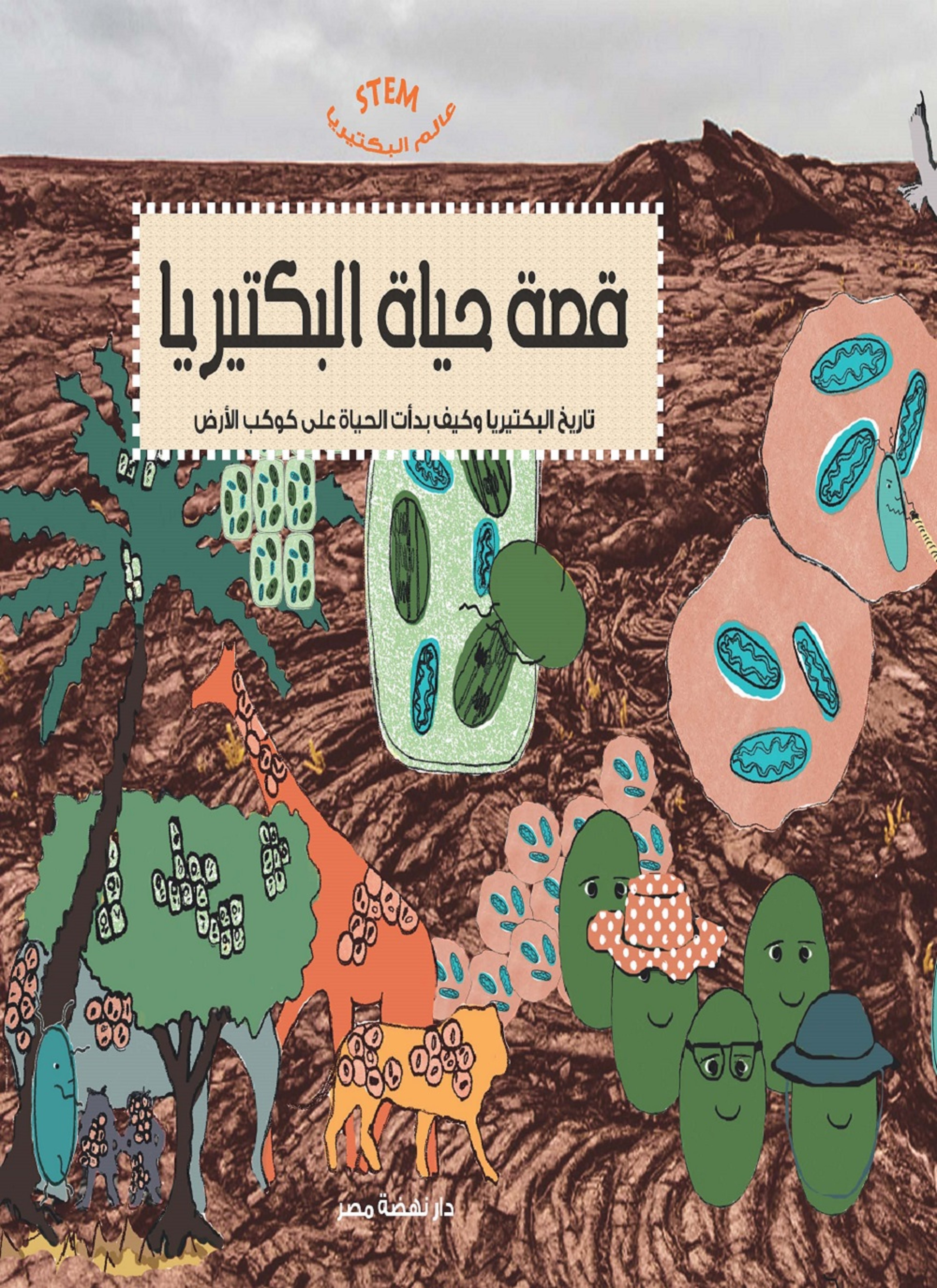 قصة حياة البكتيريا