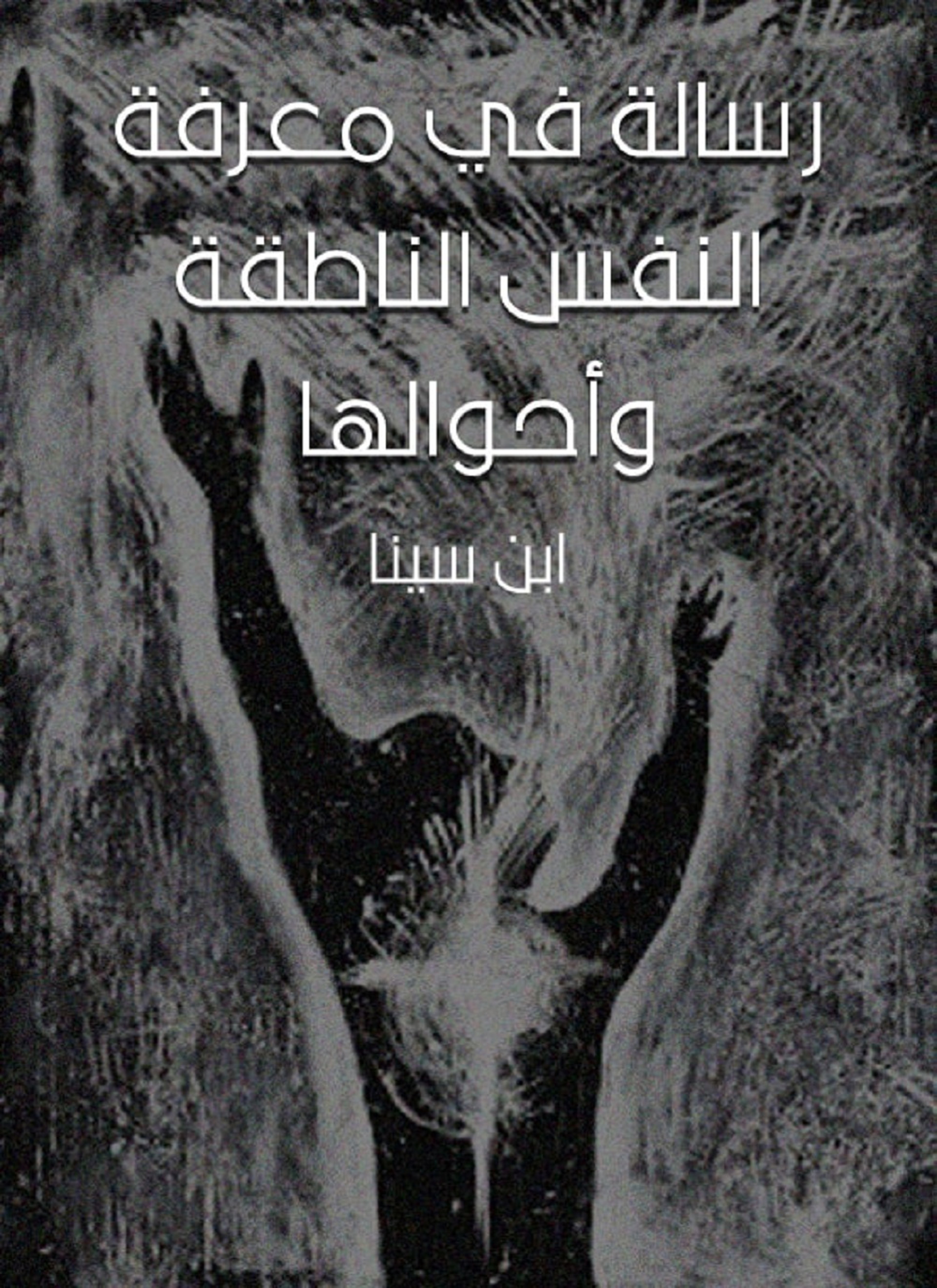 رسالة في معرفة النفس الناطقة وأحوالها