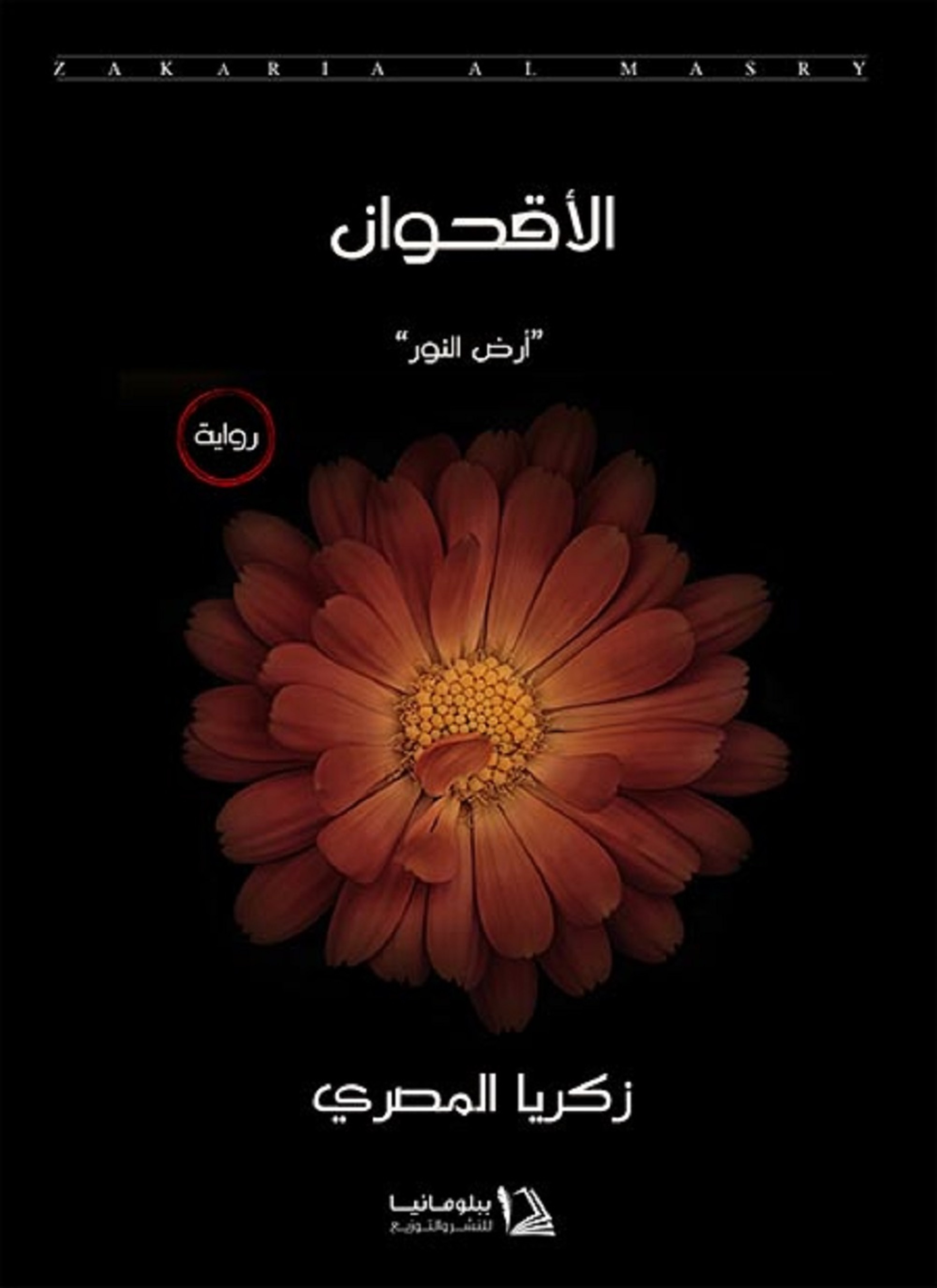 الأقحوان