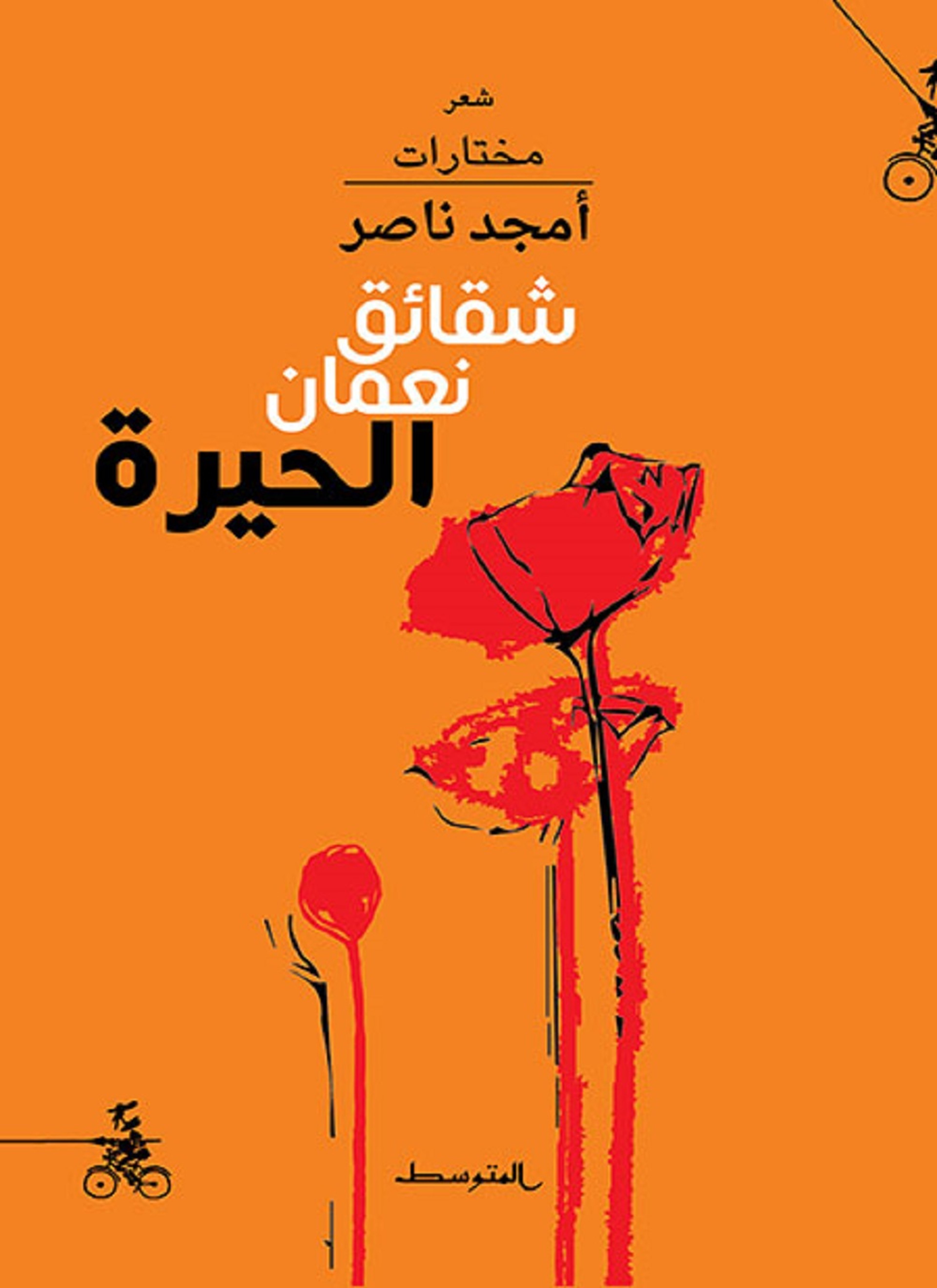 شقائق نعمان الحيرة