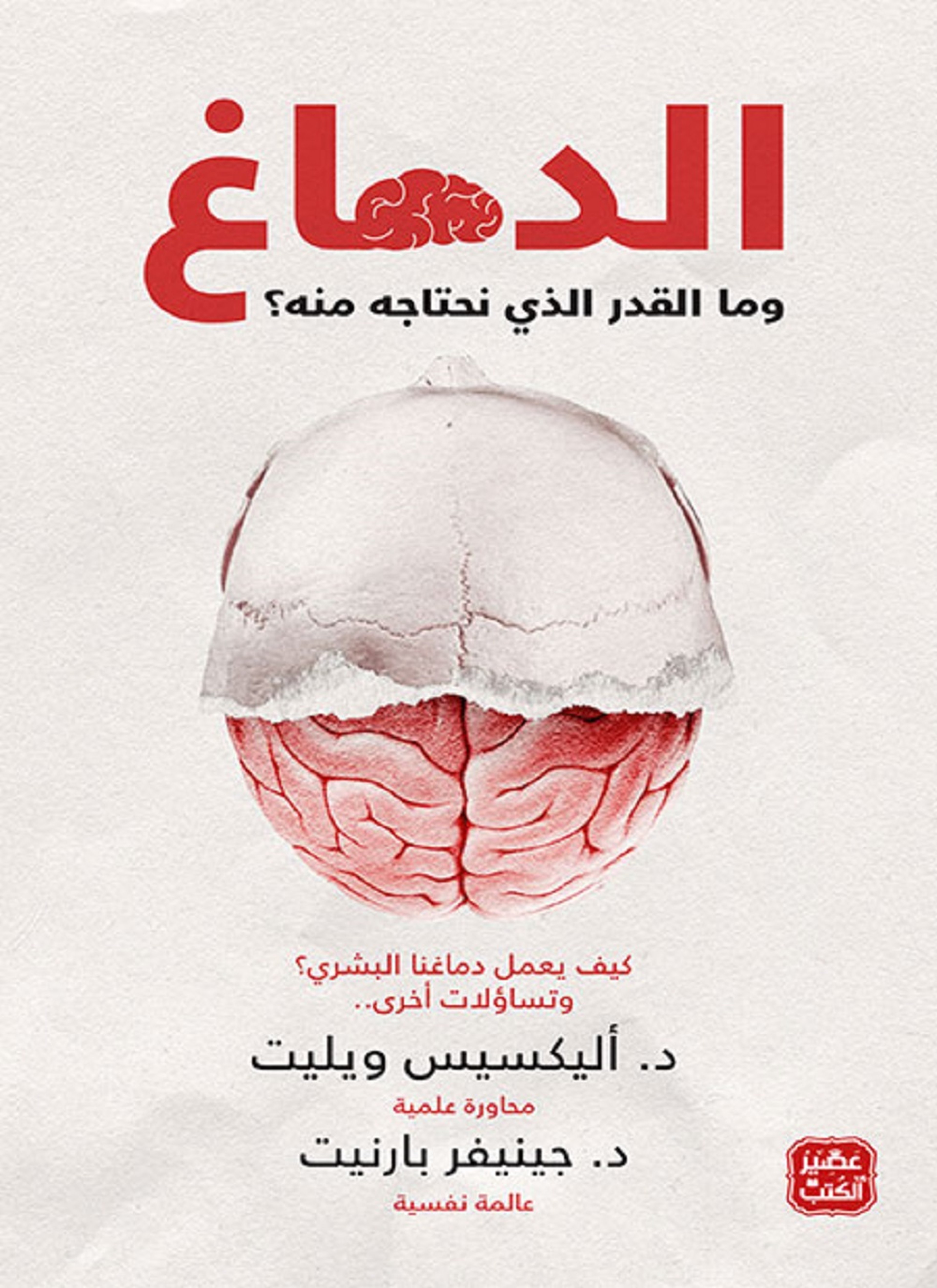 الدماغ