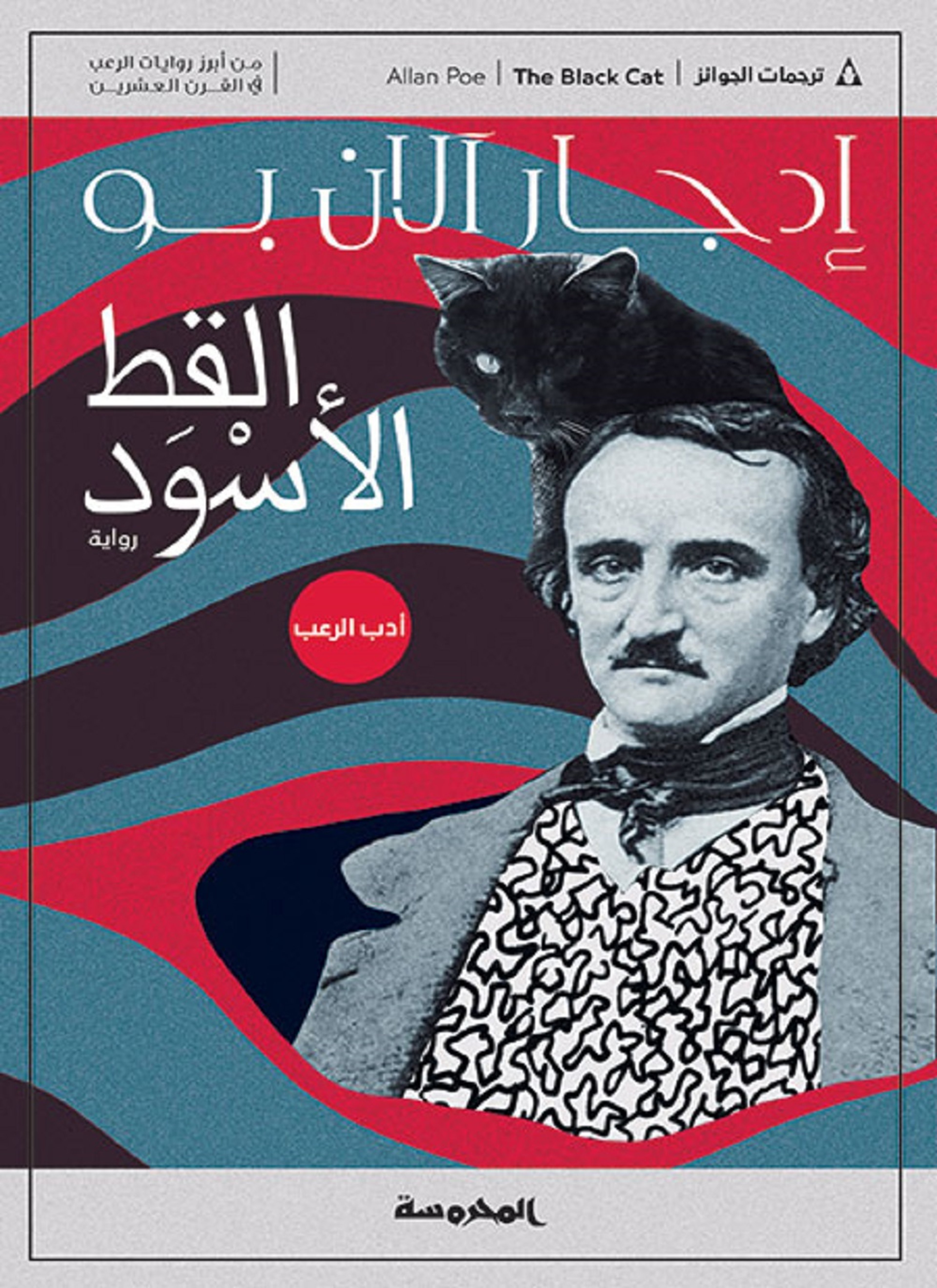 القط الأسود