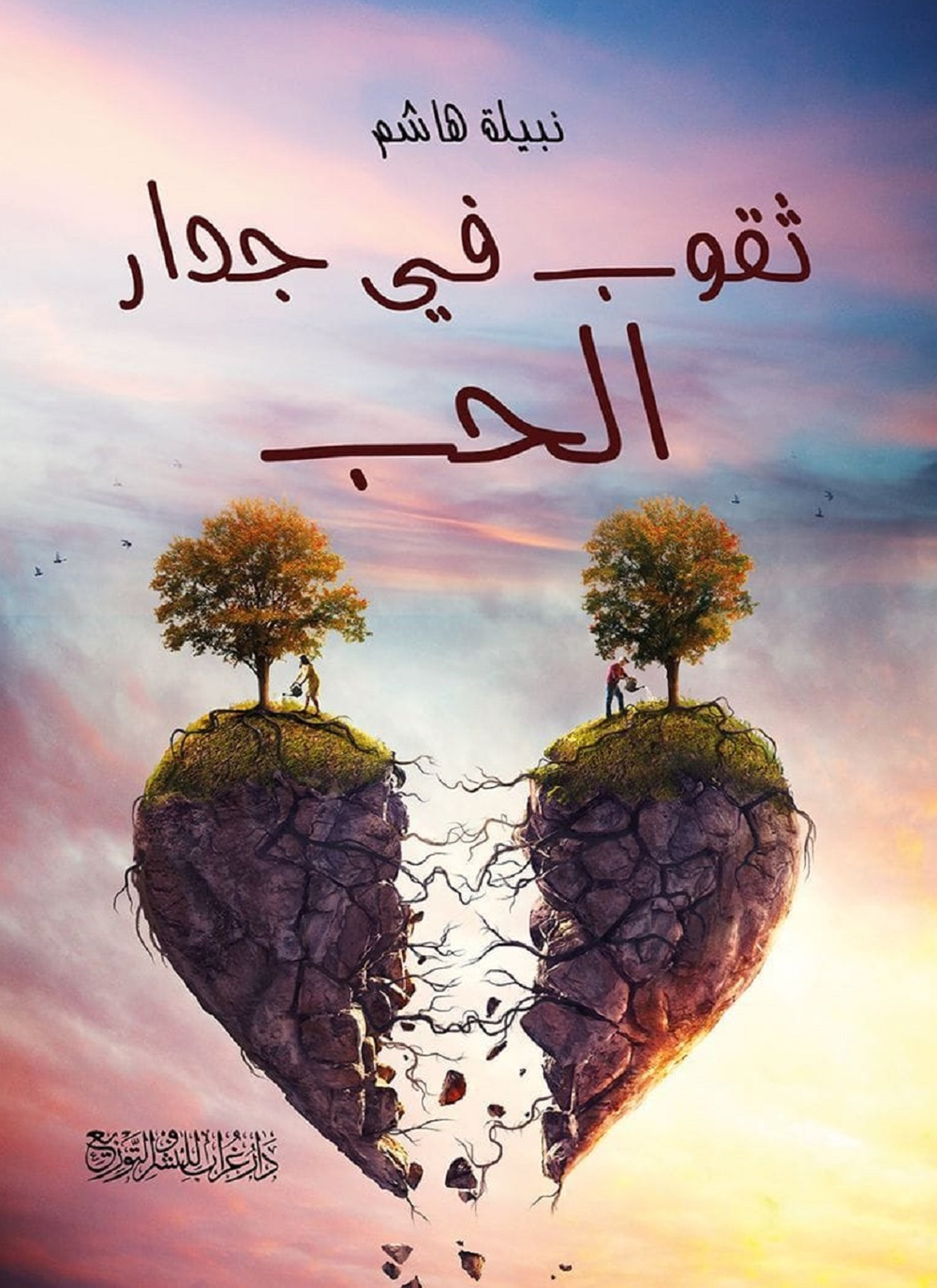 ثقوب فى جدار الحب