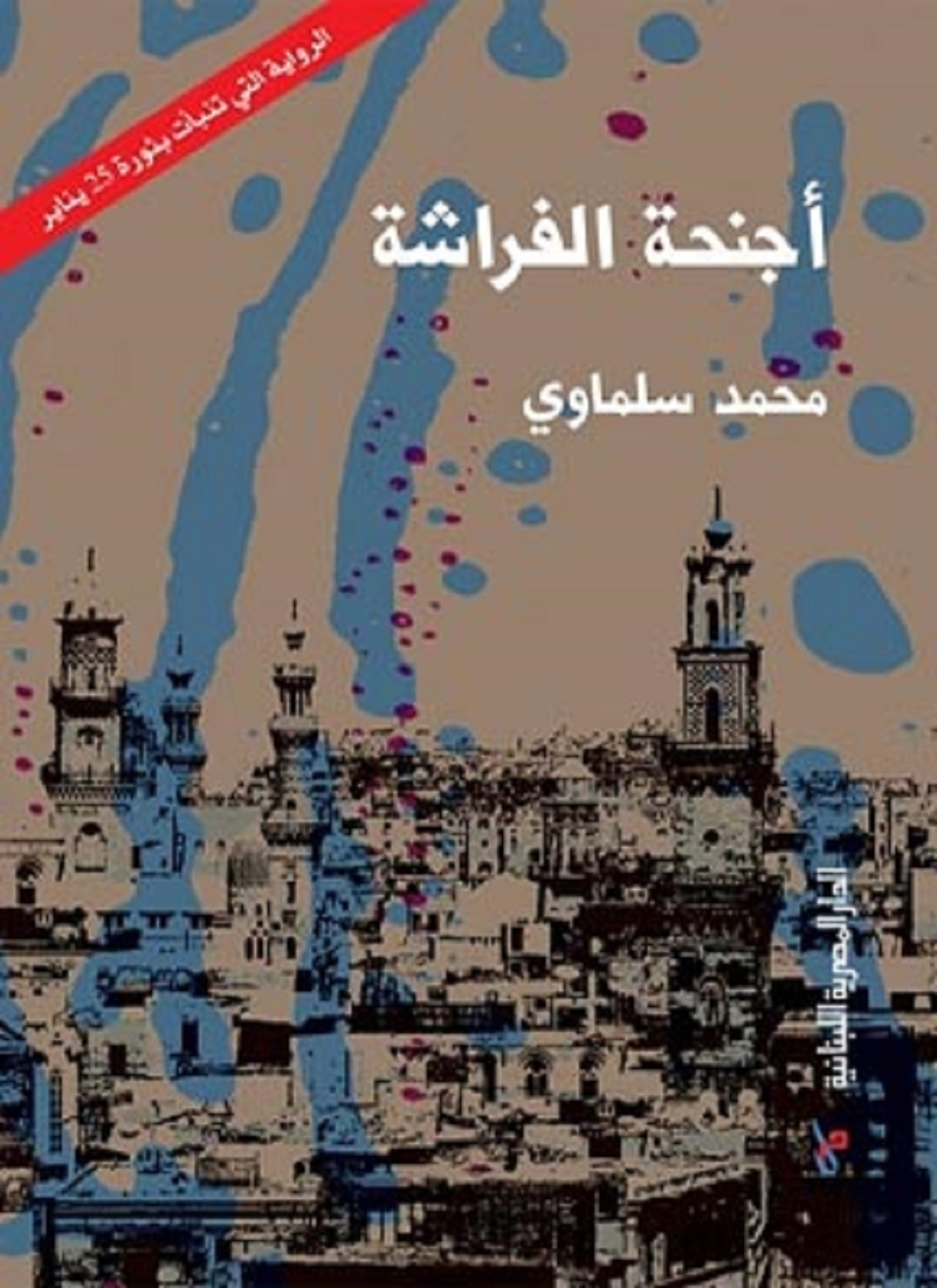 أجنحة الفراشة