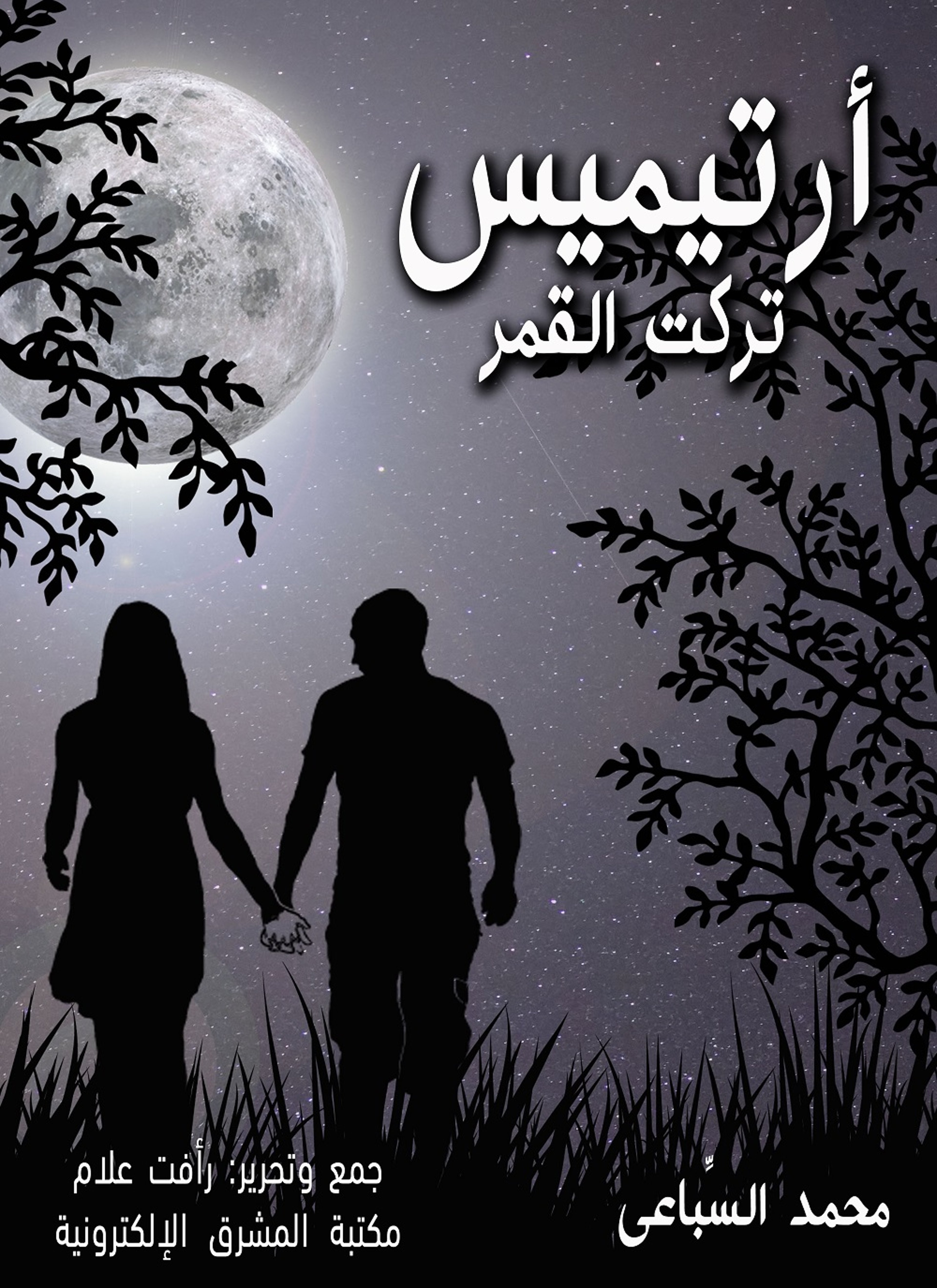 أرتيميس تركت القمر