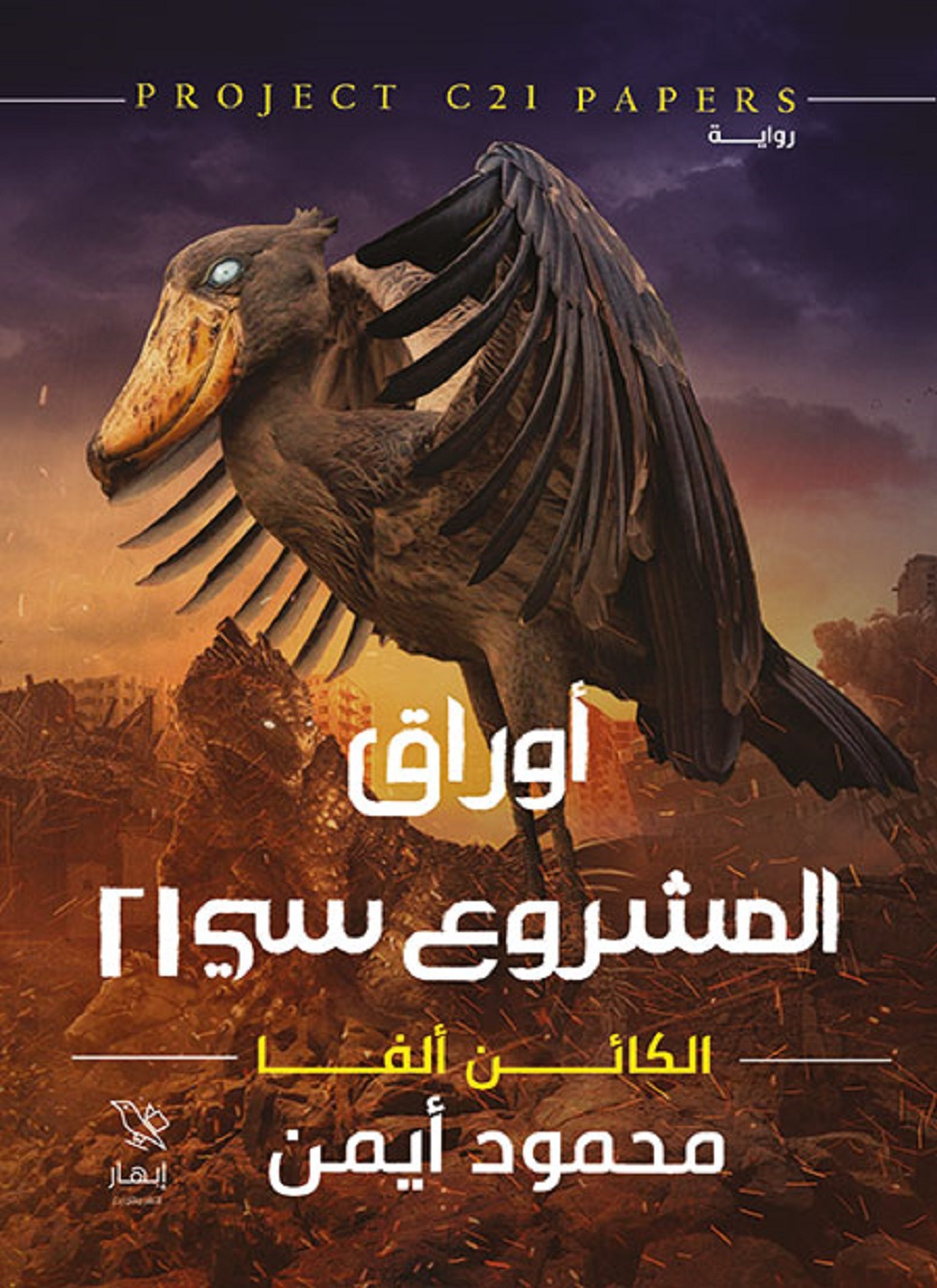 أوراق المشروع 21 سي