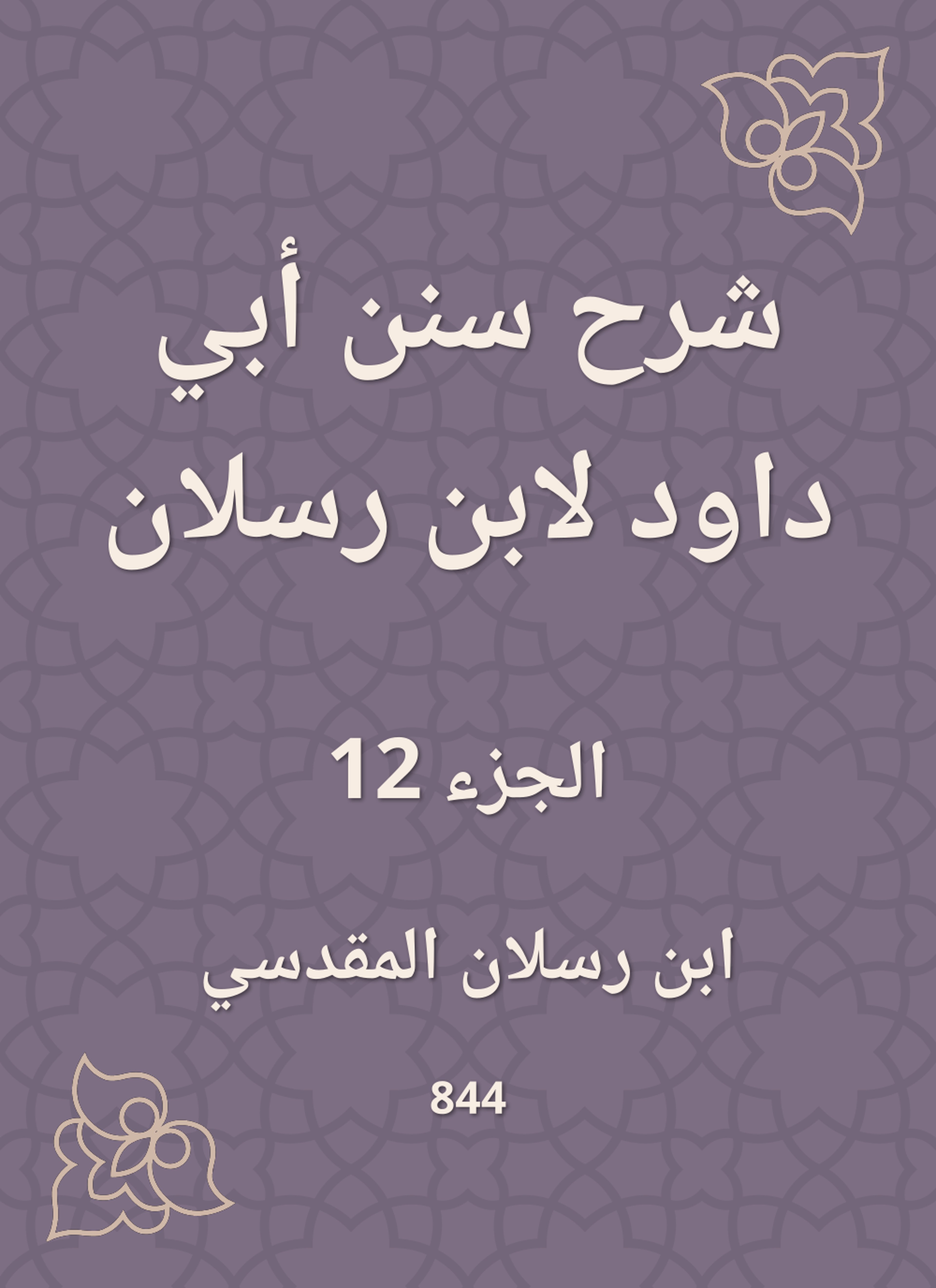 شرح سنن أبي داود لابن رسلان