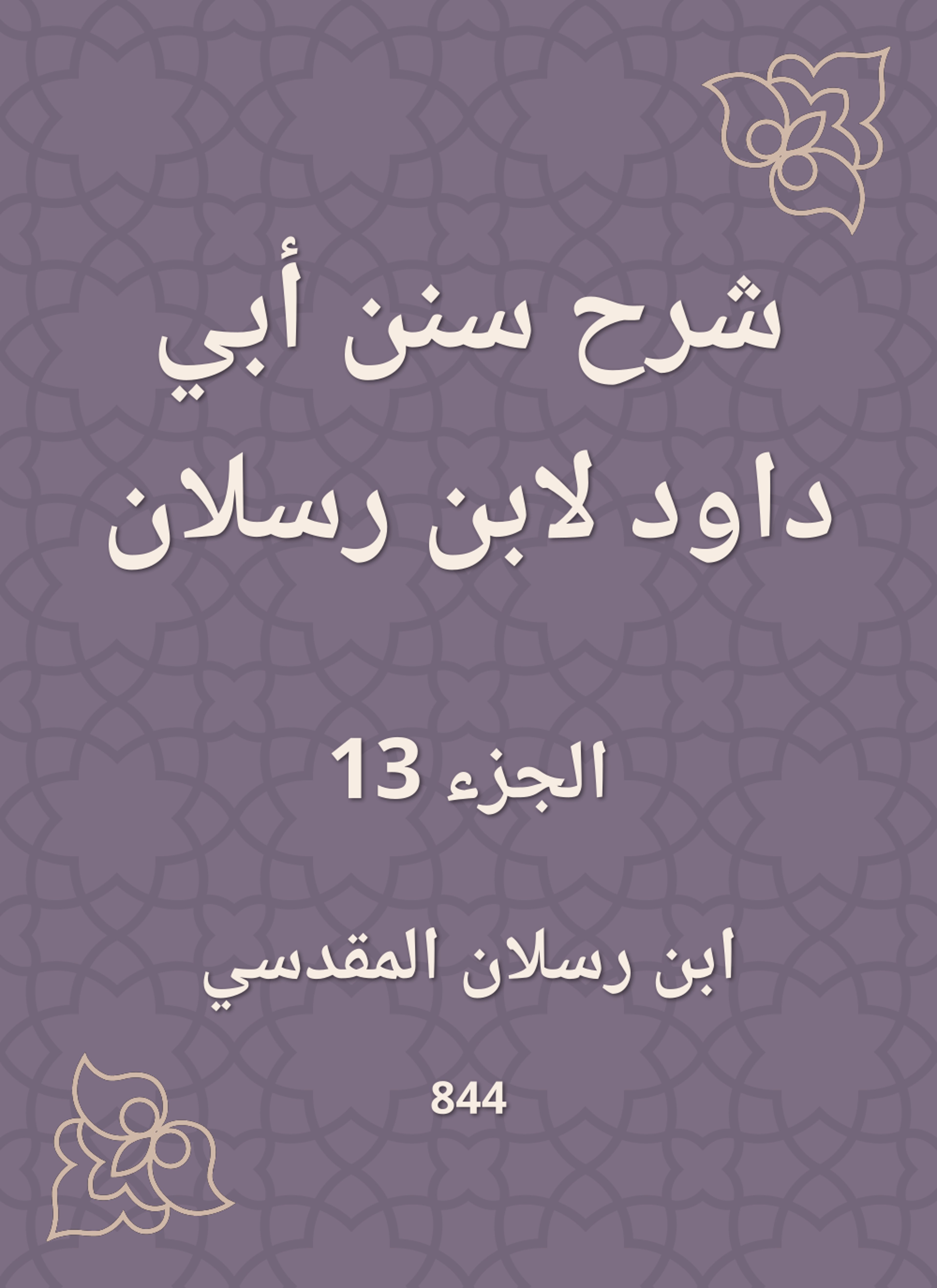 شرح سنن أبي داود لابن رسلان