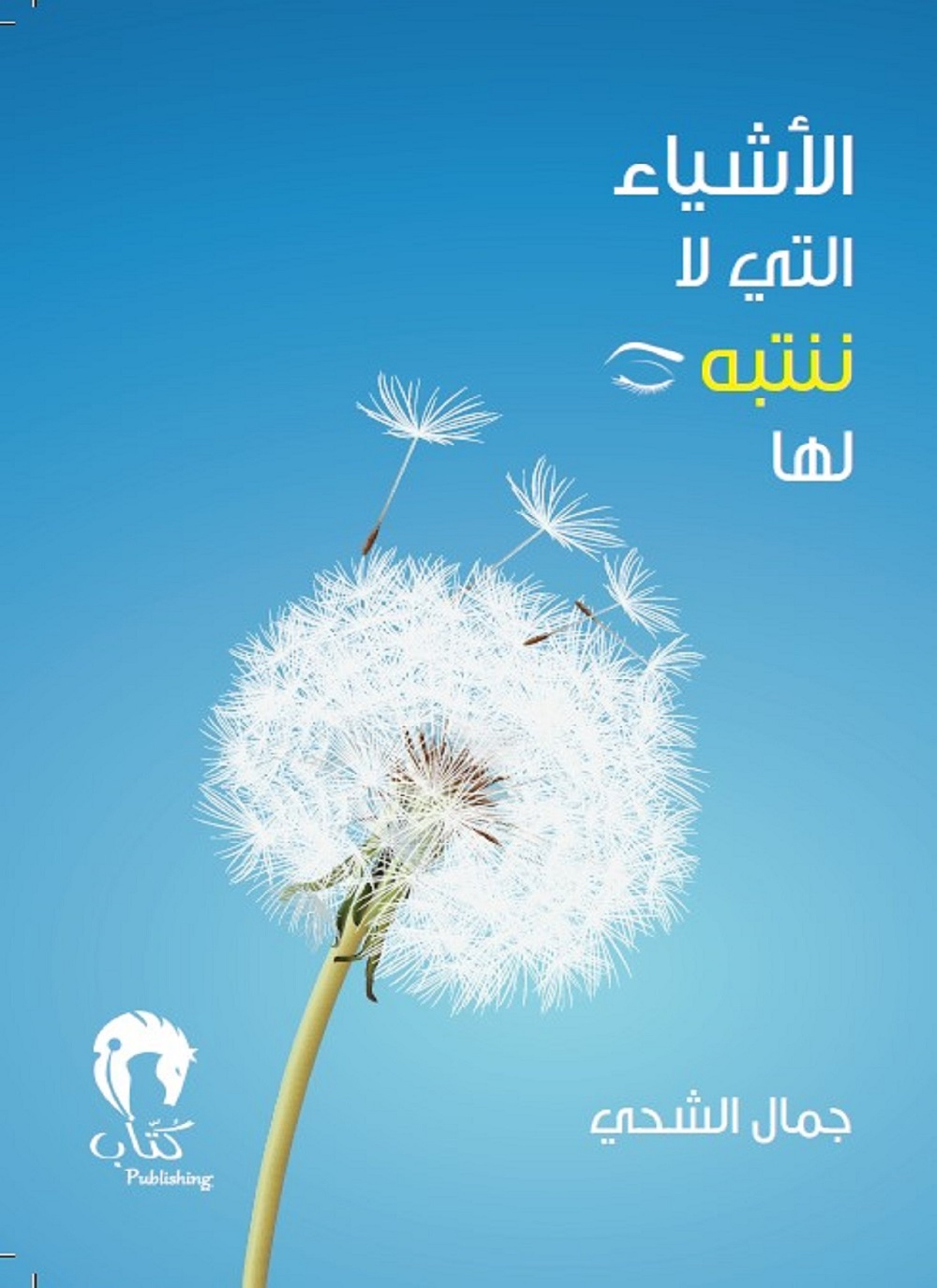 الأشياء التي لا ننتبه لها