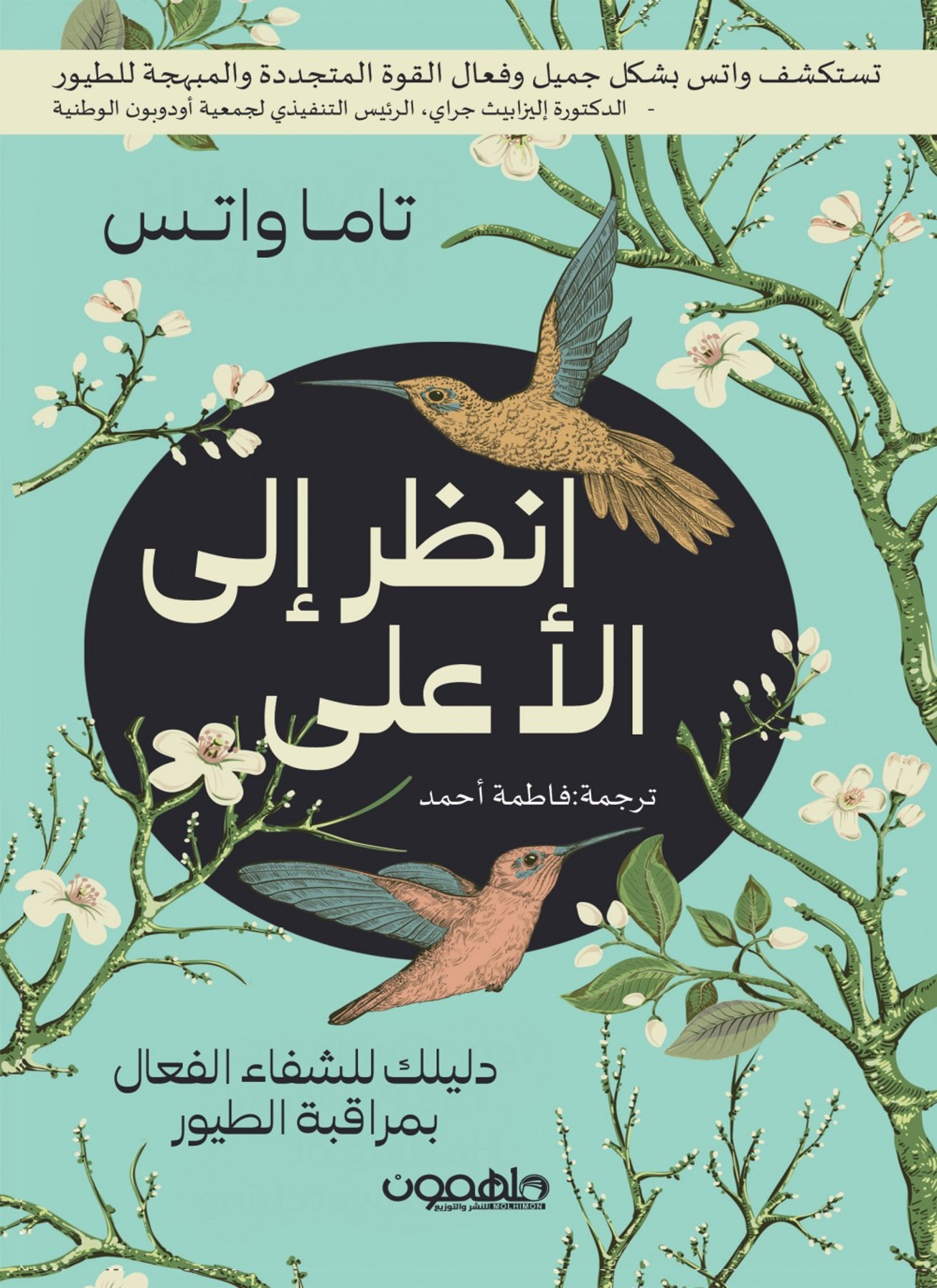 انظر الى الاعلى