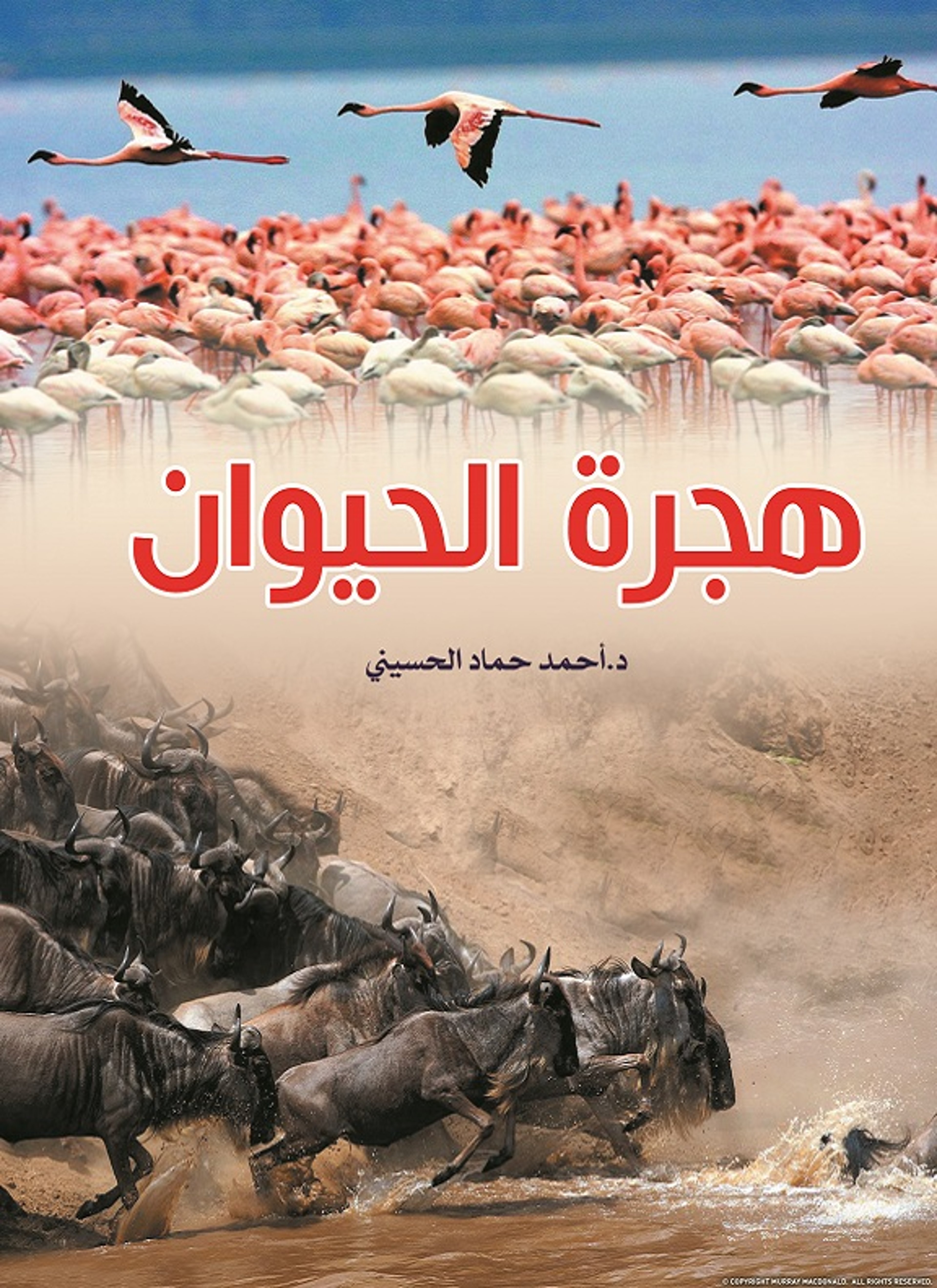 هجرة الحيوان