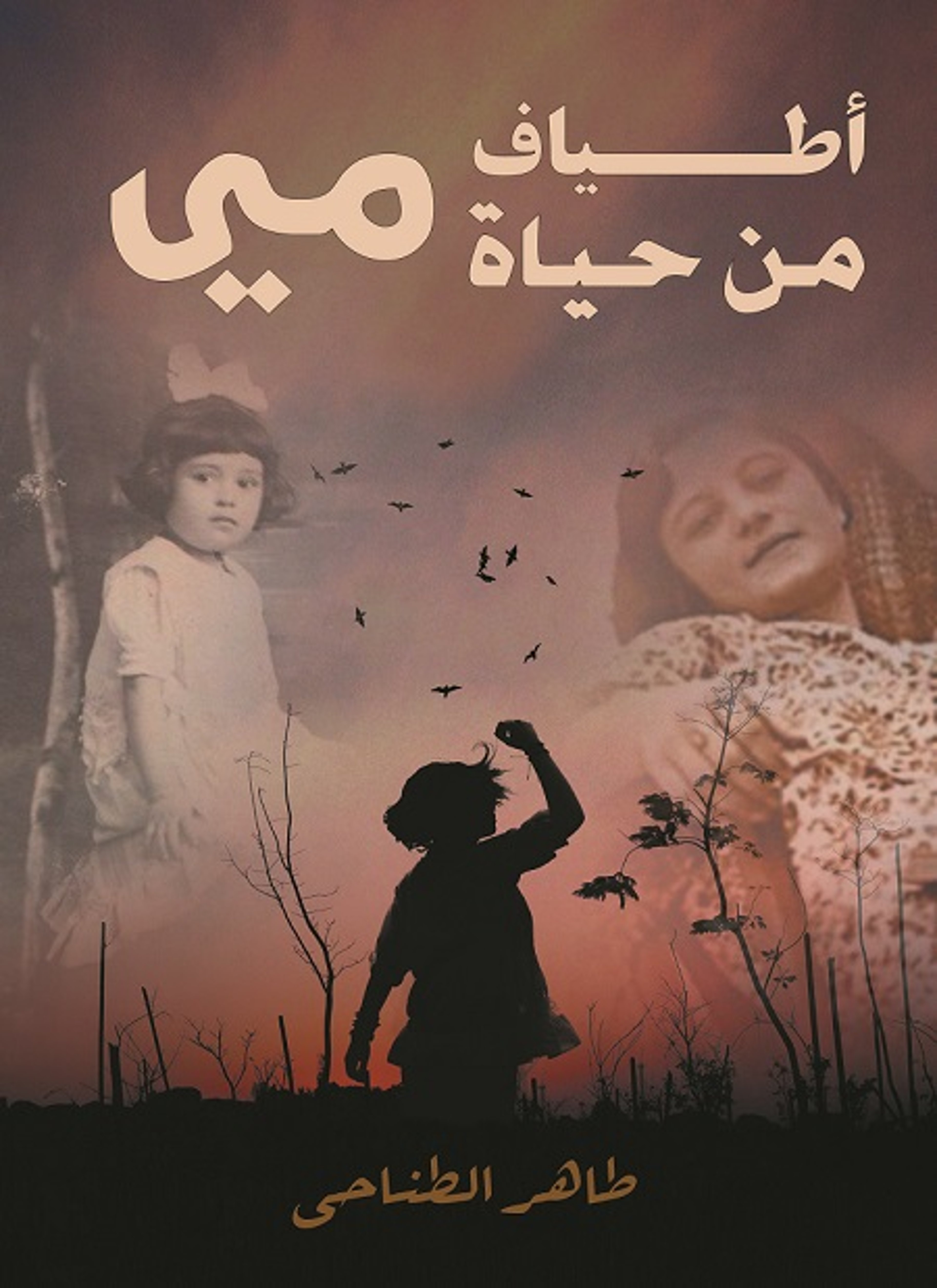 أطياف من حياة مي