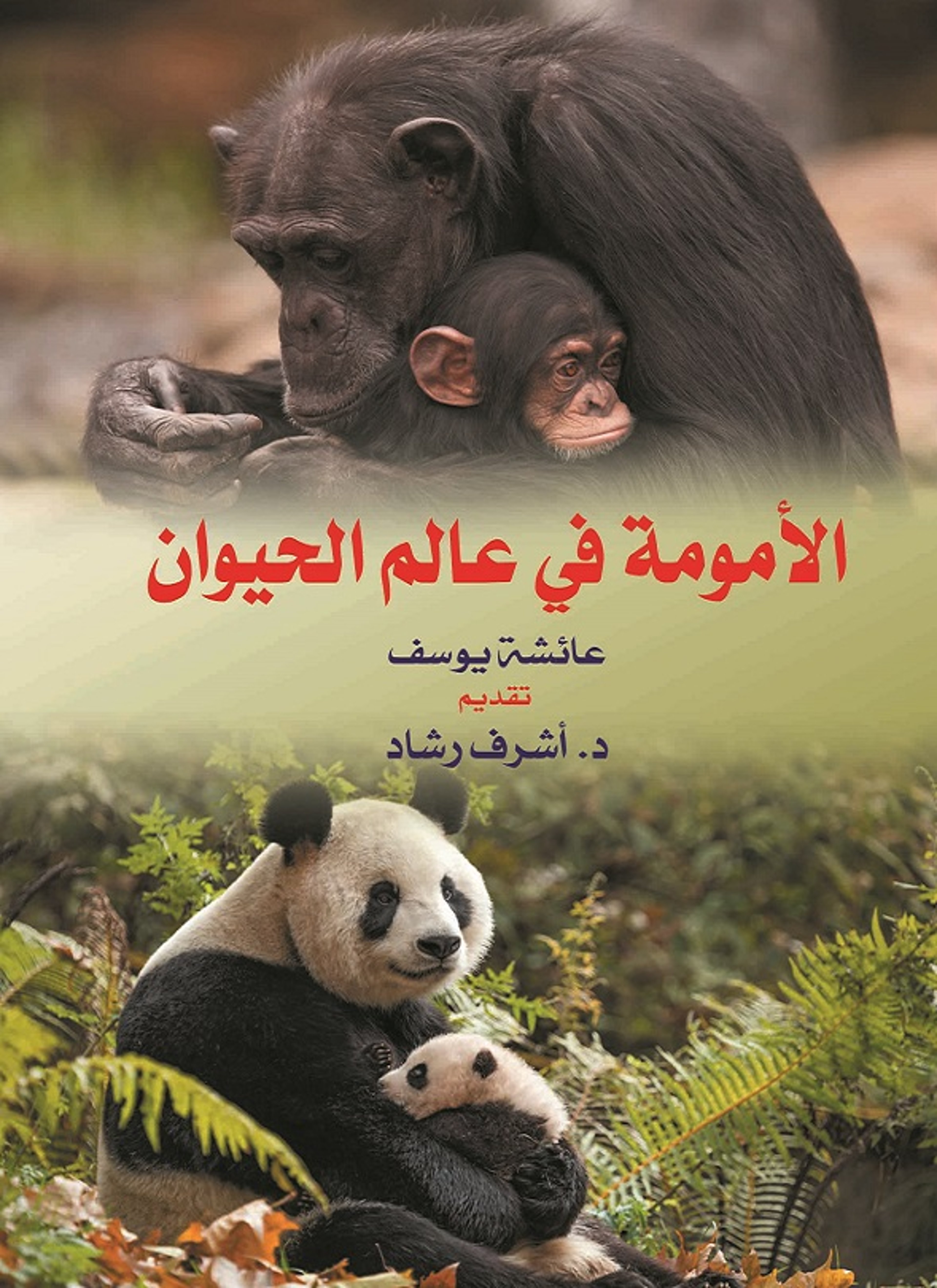 الأمومة في عالم الحيوان