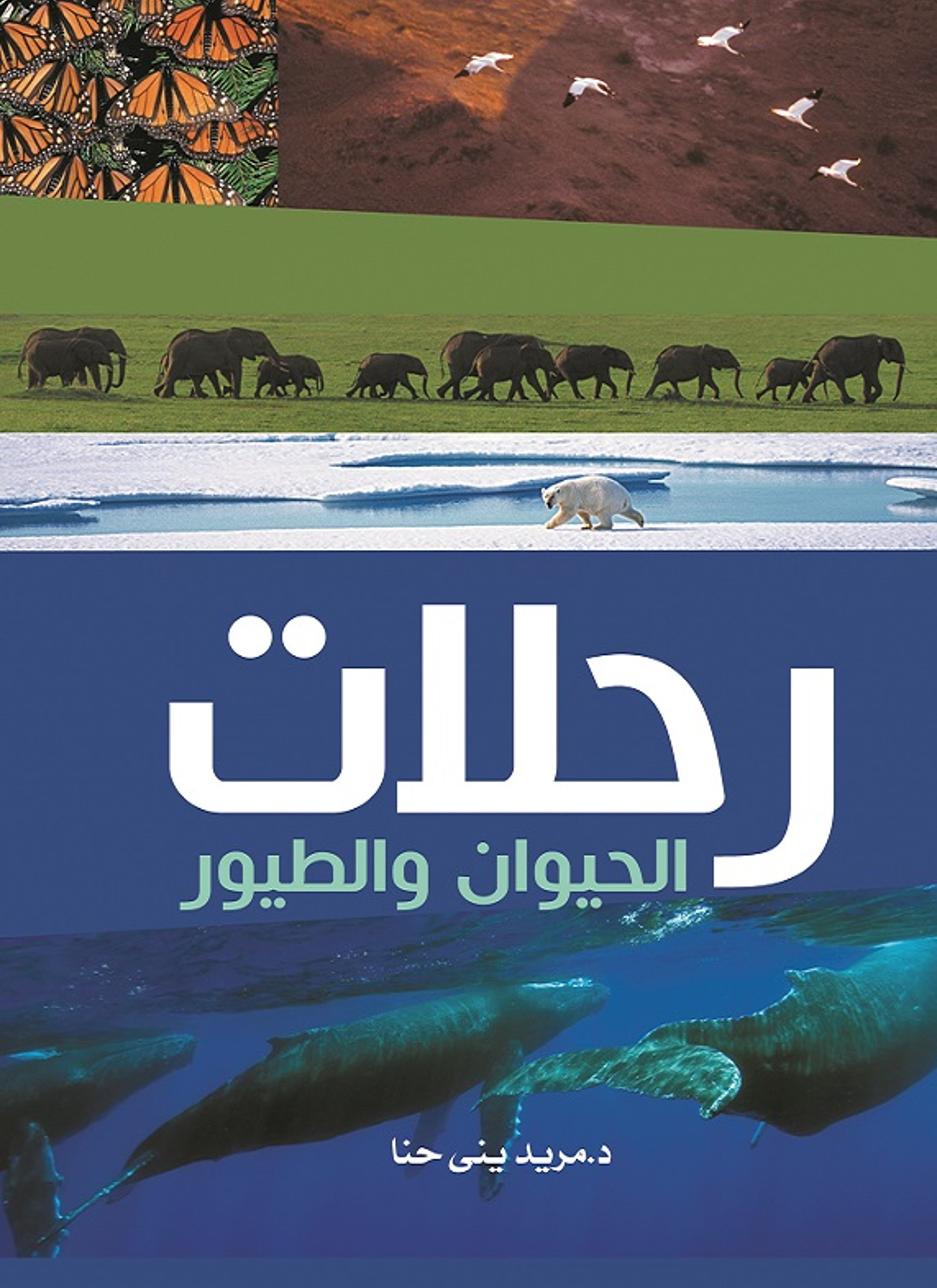 رحلات الحيوان والطيور