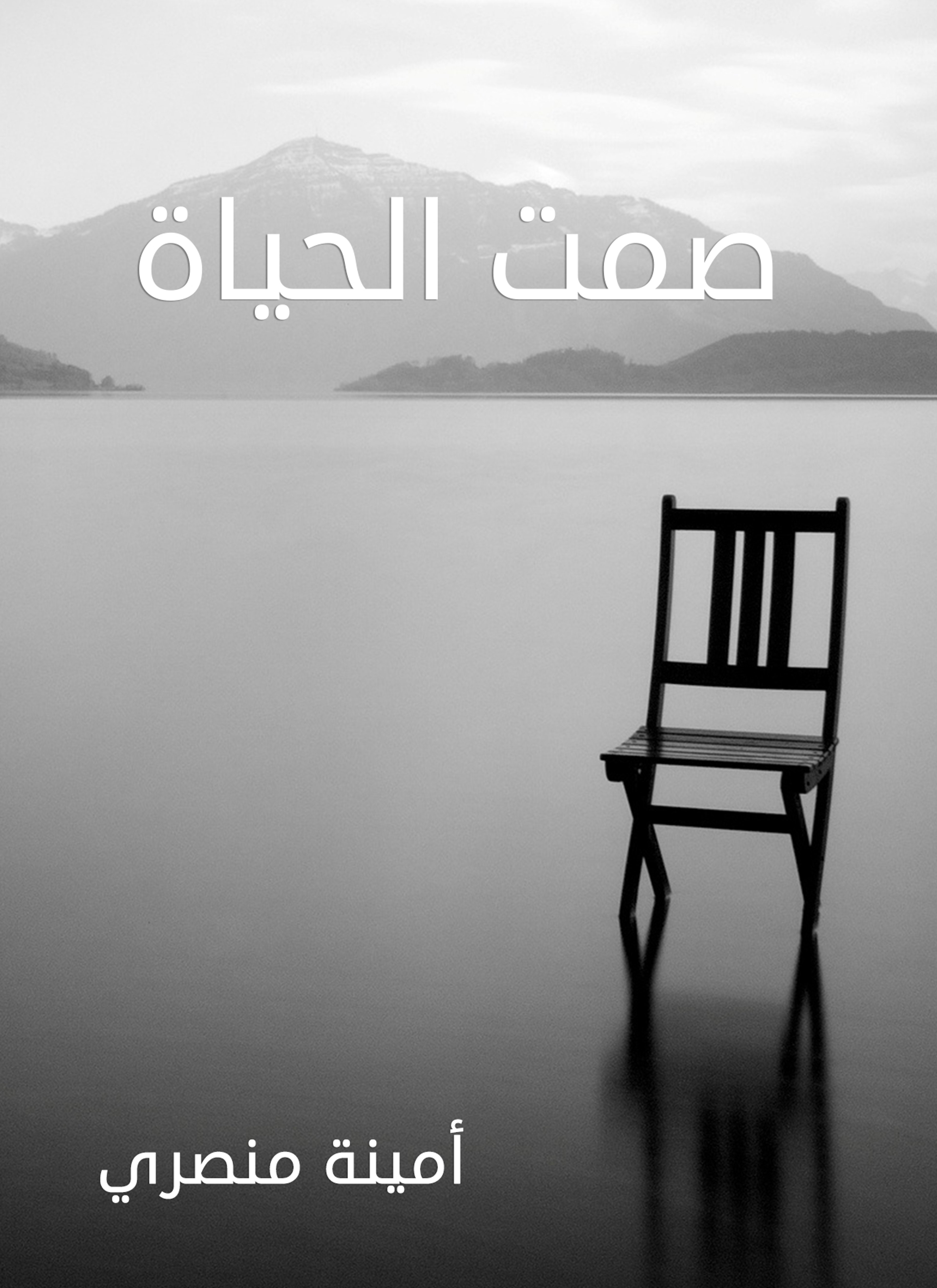 صمت الحياة